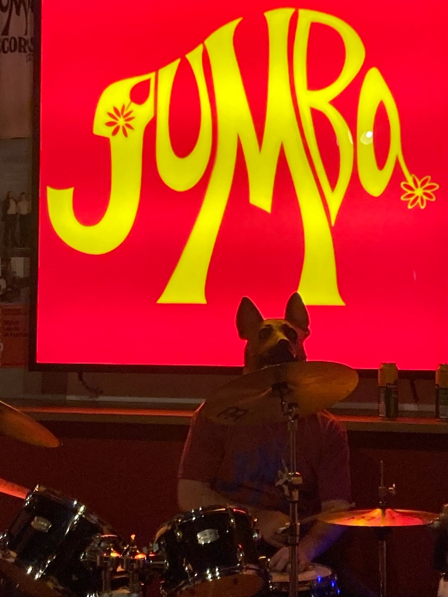 Drummer in dog mask