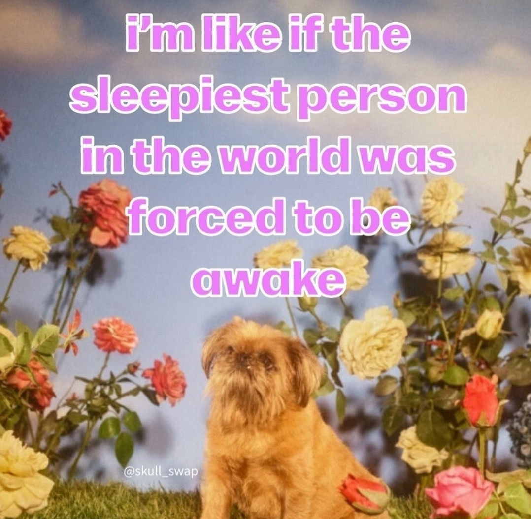 A meme of a dog sitting in a field of flowers with the text "I'm like if the sleepiest person in the world was forced to be awake"