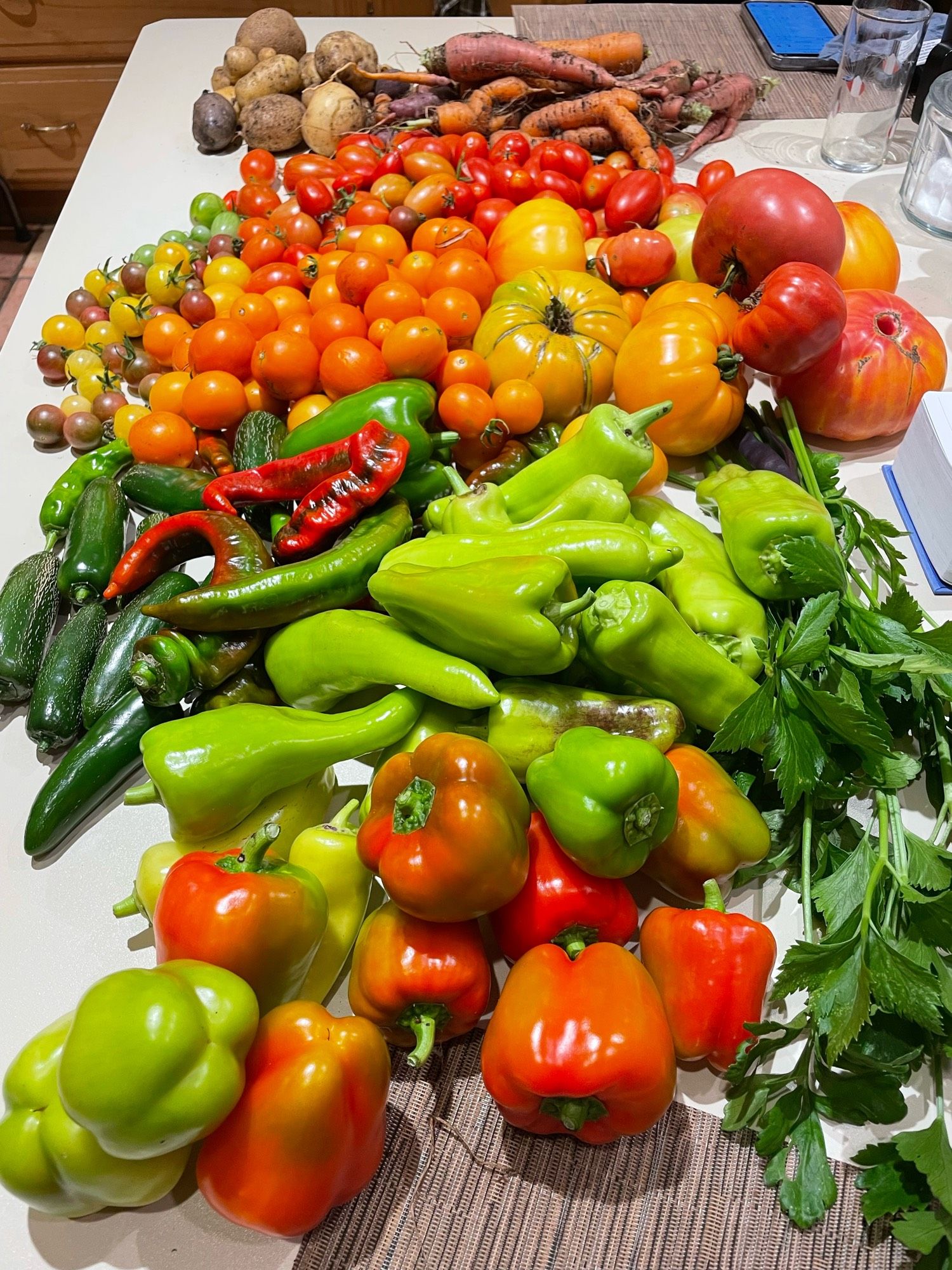 An enormous pile of veggies. Red and green peppers, celery, large and small orange red and yellow tomatoes, carrots, and potatoes.