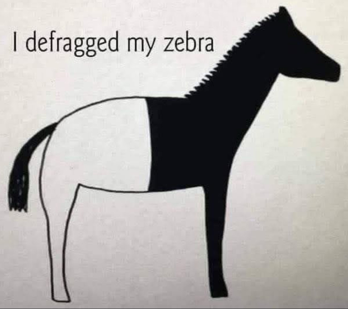 A drawing of a horse. The front half of the horse is black. The back half of the horse is white. The tail is black. 

Text reads: I defragged my zebra 