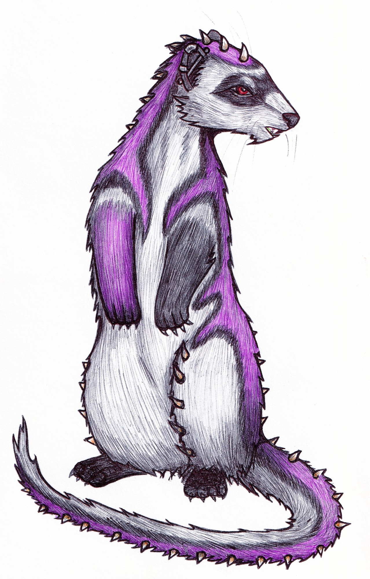 Ballpoint pen drawing of a purple, white and black ferret with red eyes.