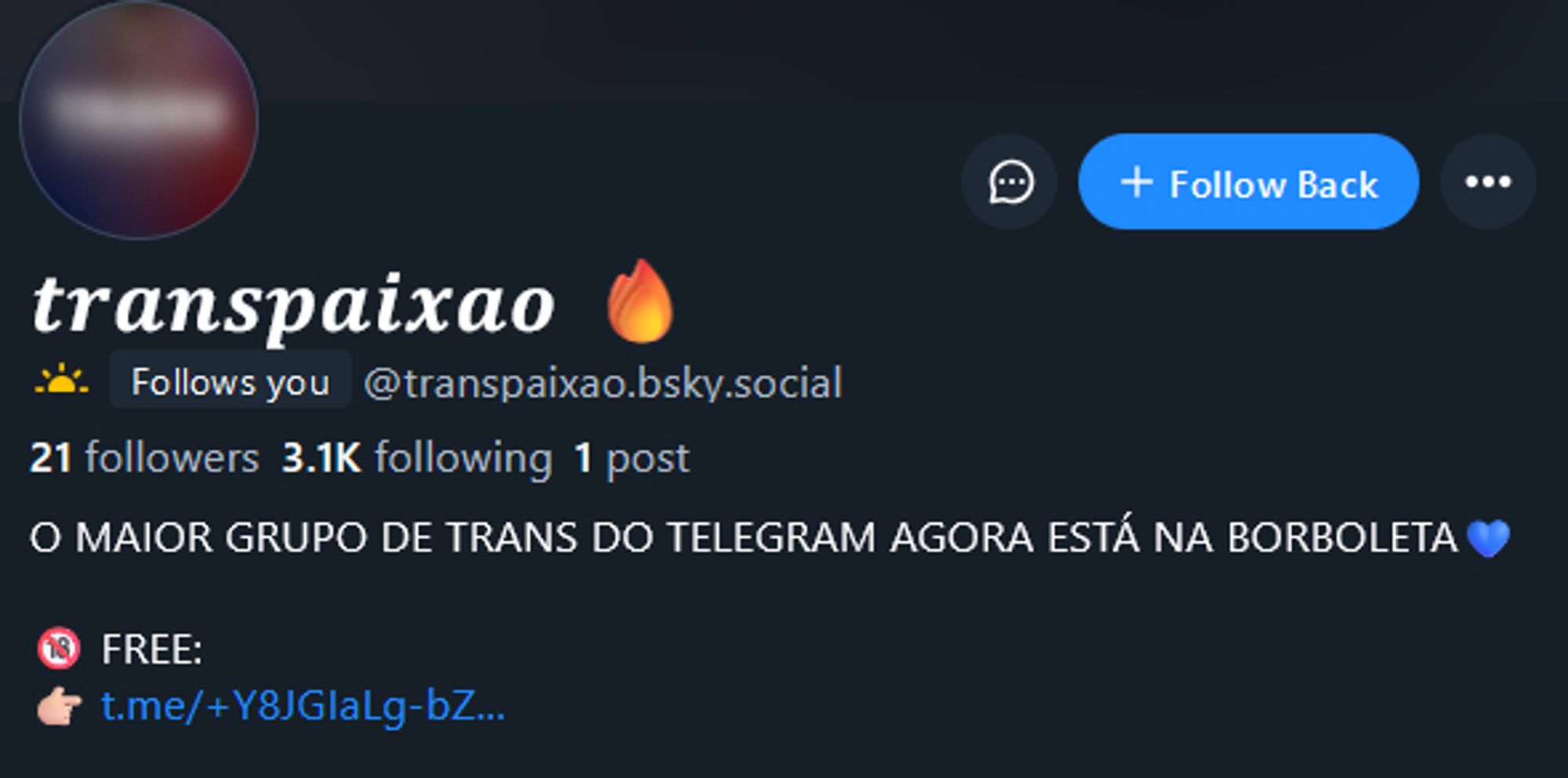 Account transpaixao.bsky.social which appears to be a chaser account reposting pics on Telegram. Block away!