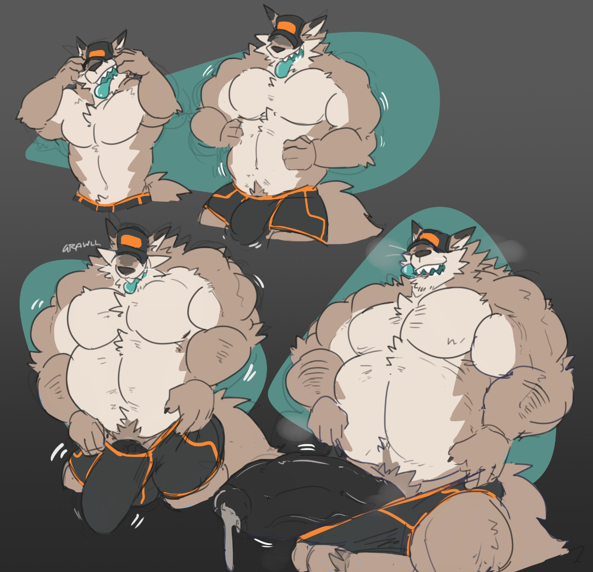 sequence of my wolf character wearing a cap hat and start growing bigger from a normal looking-build into bear-hunk build