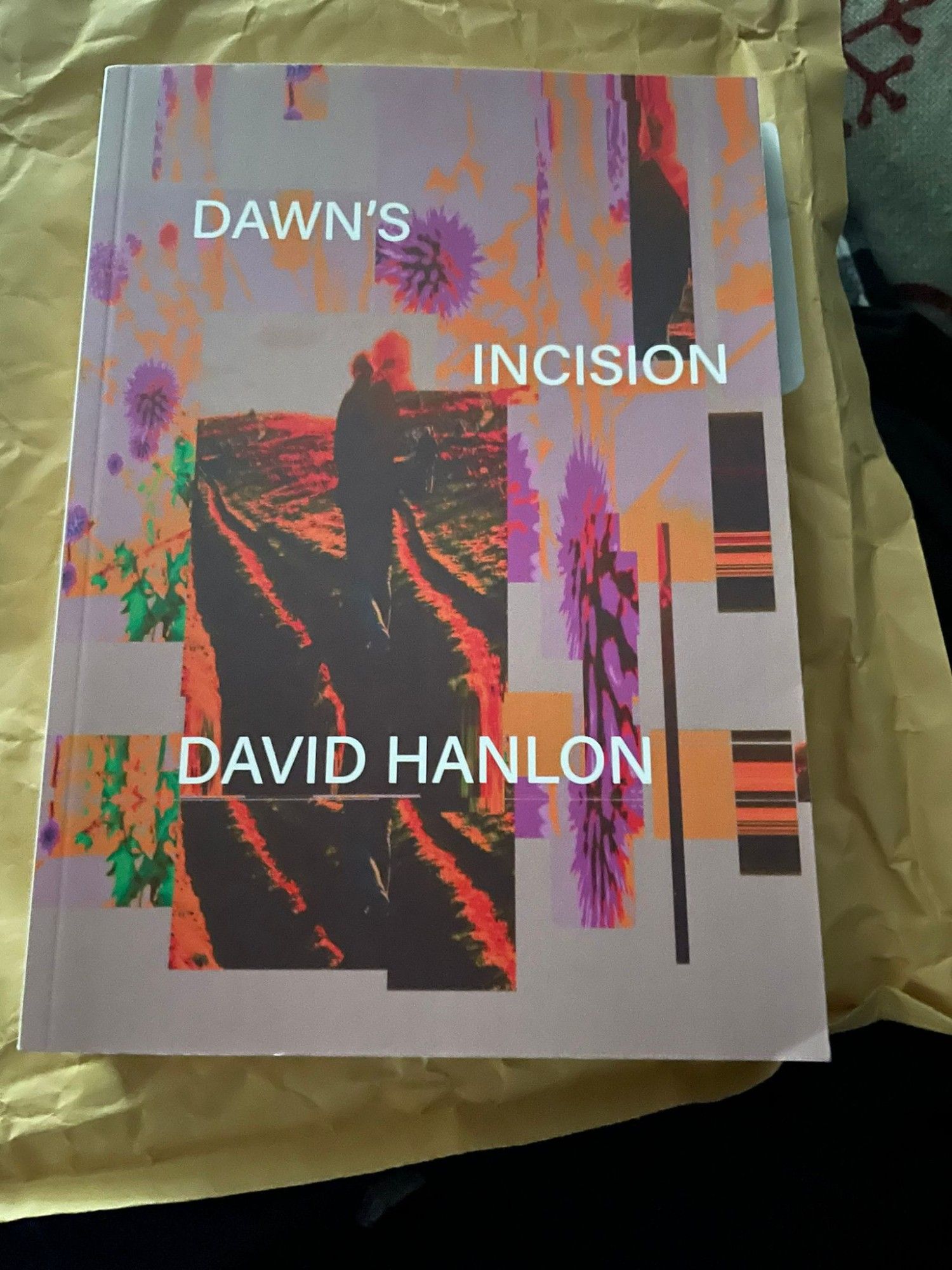 Open parcel with David Hanlon's book Dawn's Incision inside.