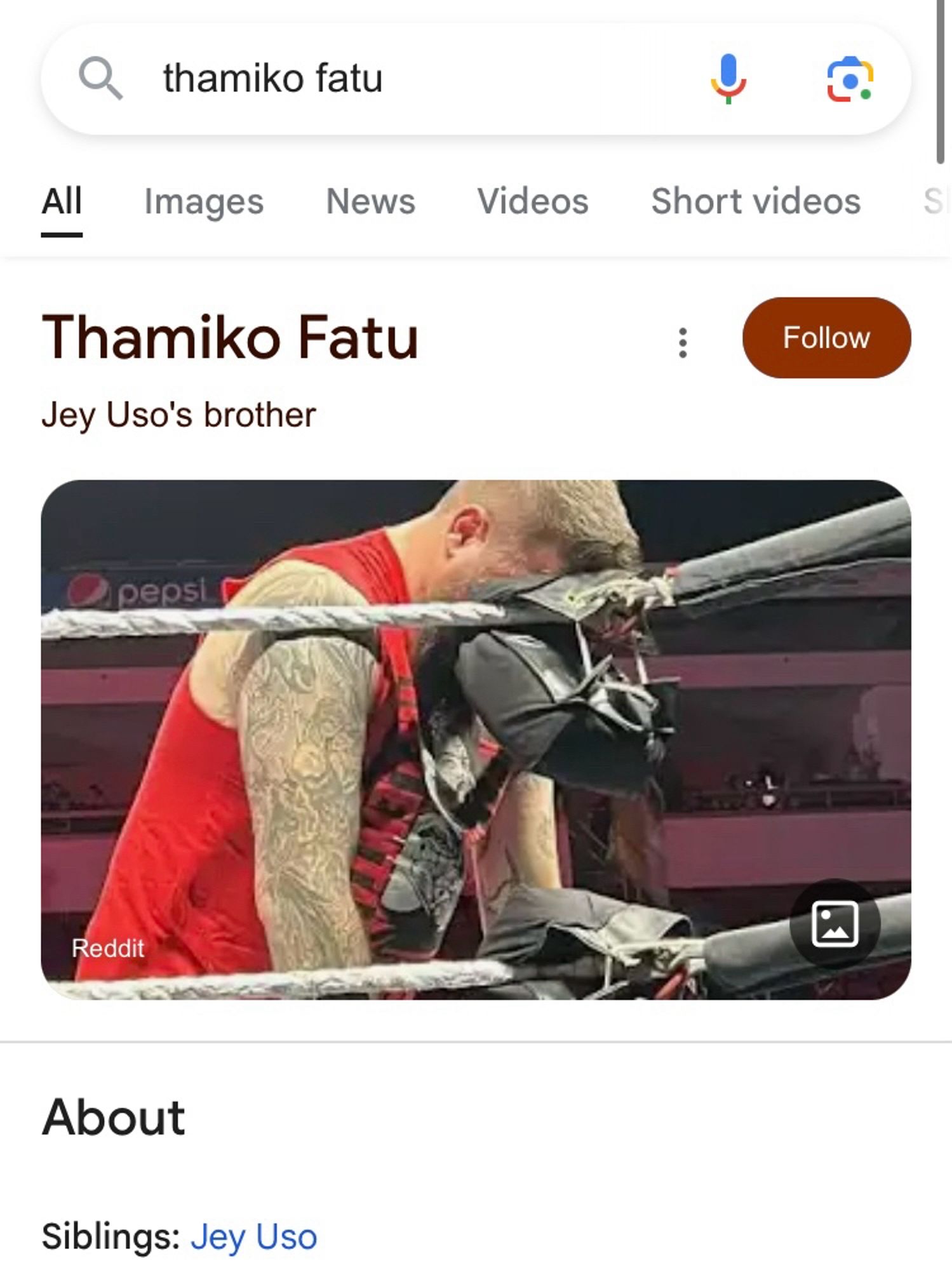 A screenshot of google search for Thamiko Fatu but the main image is of Kevin Owens resting his face on a wrestling turnbuckle