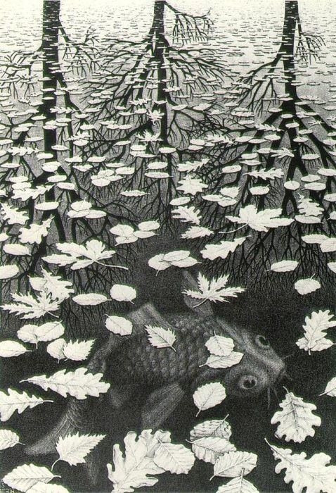 Bild von M.C. Escher. Three Worlds, 1955.

Das Bild zeigt eine Wasserfläche auf der Blätter treiben, darunter ist ein Fisch zu sehen der zwischen den Blättern nach obeb schaut. Im Hintergrund sind Bäume ohne Blätter zu sehen, die sich in der Wasseroberfläche spiegeln.