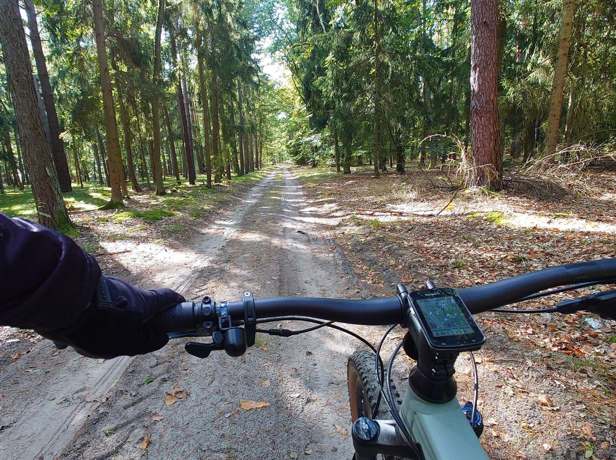 Blick über den Lenker eine s Fahrrads, links ist eine Hand am Lenker. Der Weg vor dem Fahrrad ist ein Waldweg, rechts und links sind Bäume, die Sonne scheint durch auf den sandigen Boden.