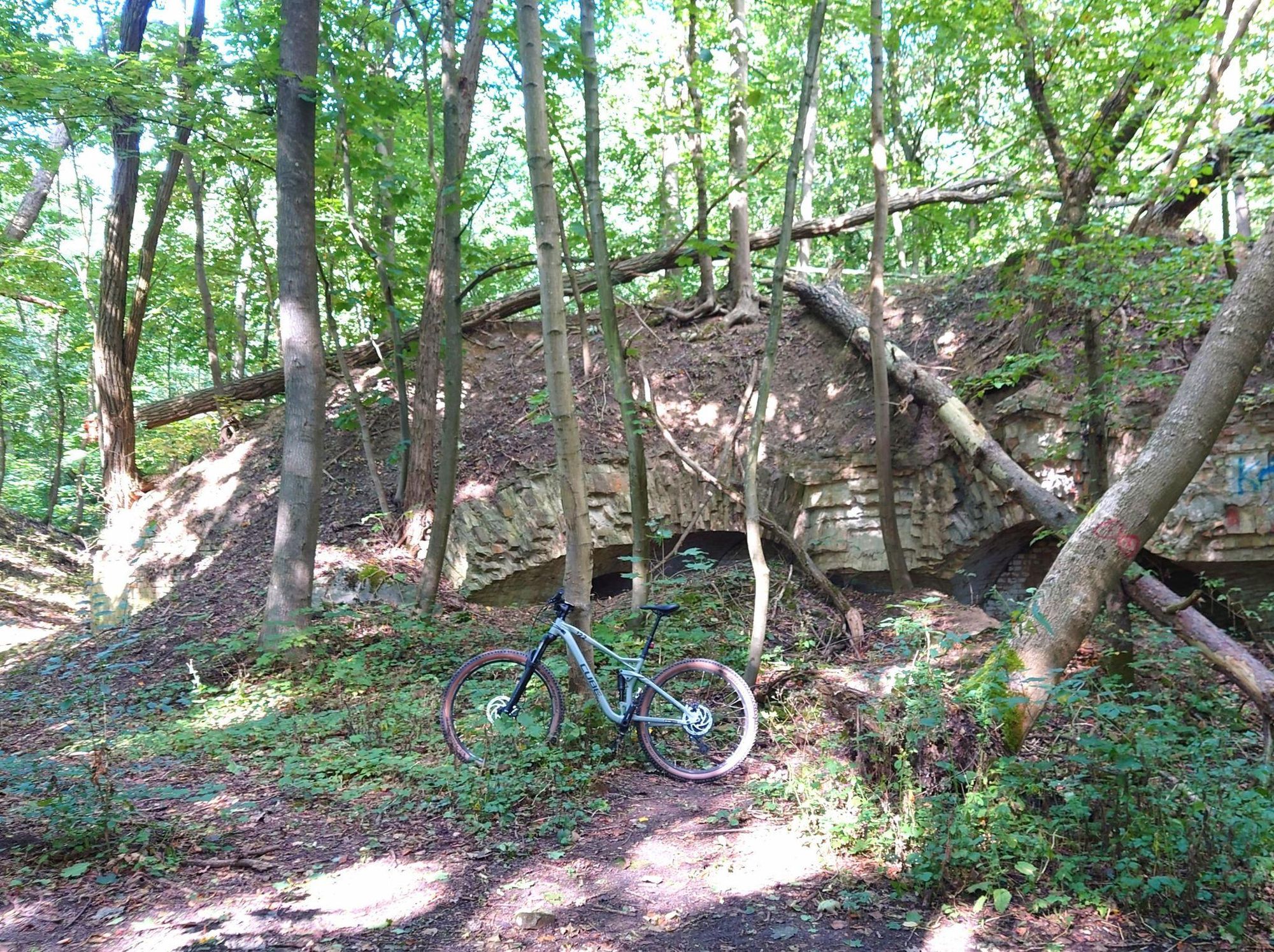 ein Fahrrad steht vor einem Teil einer Ruine, umgeben von Bäumen