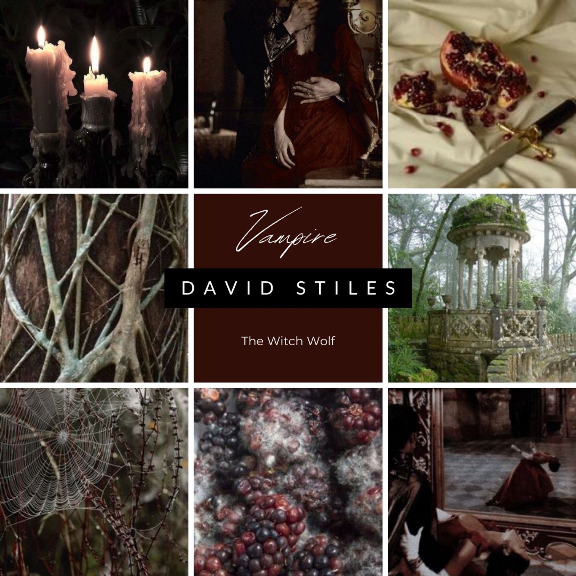 A moodboard focusing on the vampire David Stiles. Images starting from top left: three lit candles in a candelabra; a gothic man clutching a woman in a red dress possessively; spilled pomegranates on white bedsheets with a dagger; a brown tree covered in bleached roots; a crumbling white gazebo in a forest; a spider web in the woods; rotten fruit; a woman in a red dress dancing with a man across from a large mirror, where only the woman is visible.