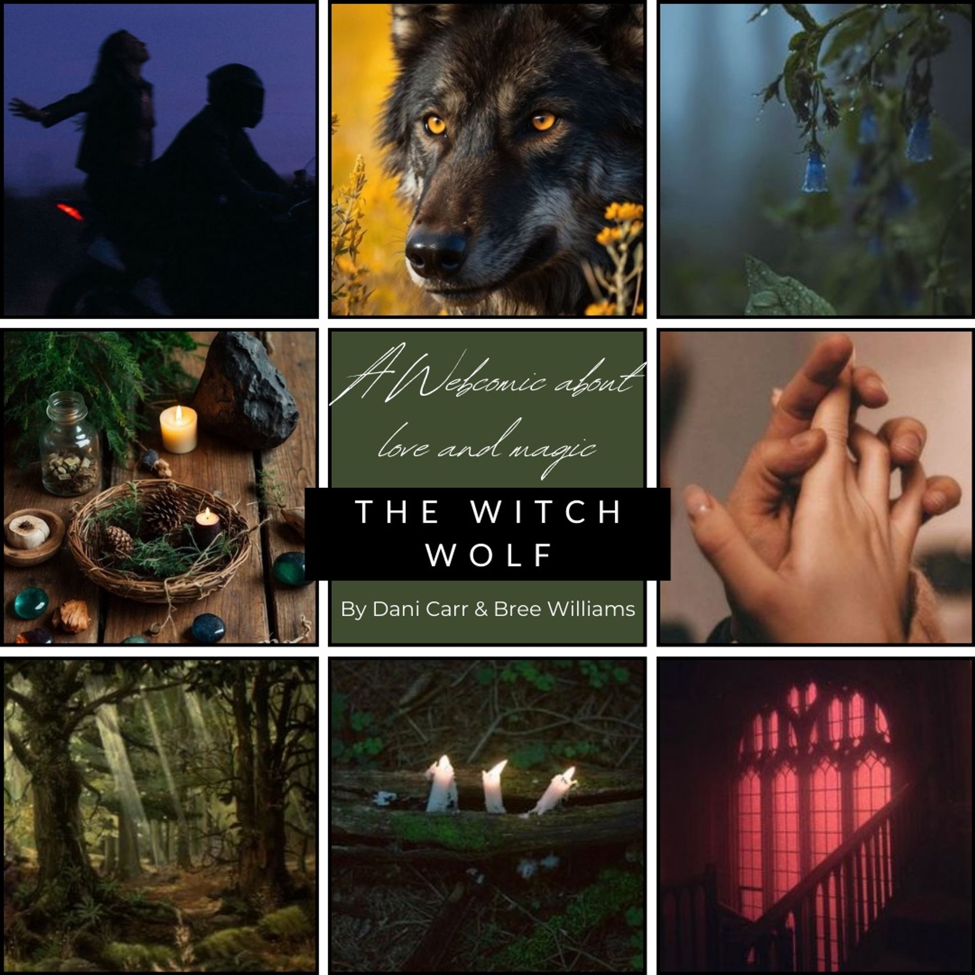 A mood board showing a nighttime motorcycle ride, a wolf with golden eyes, bluebells in the rain, a magical harvest, two hands clasped lovingly, a forest drenched in sunlight, 3 lit candles in a log, and a gothic window bathed in red light.