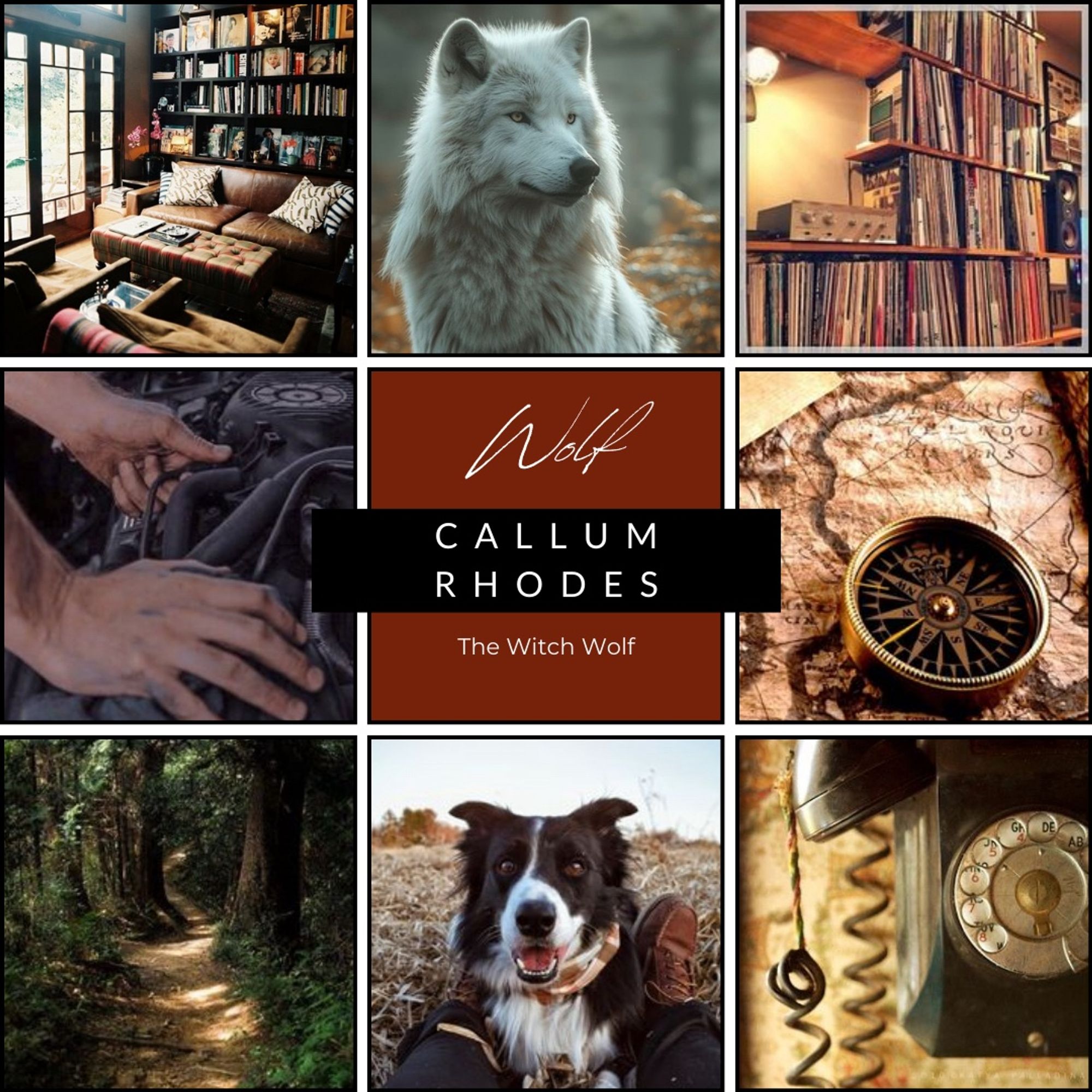 A character mood board focusing on Callum Rhodes, a werewolf. Images starting from top left: a comfortable room with a leather couch, bookcases, and a massive window; a white wolf; a large collection of vinyl records and a turntable; hands fixing an engine; a compass on a map; a path through a forest; a smiling black and white border collie between two legs; an old black rotary telephone with a cord.