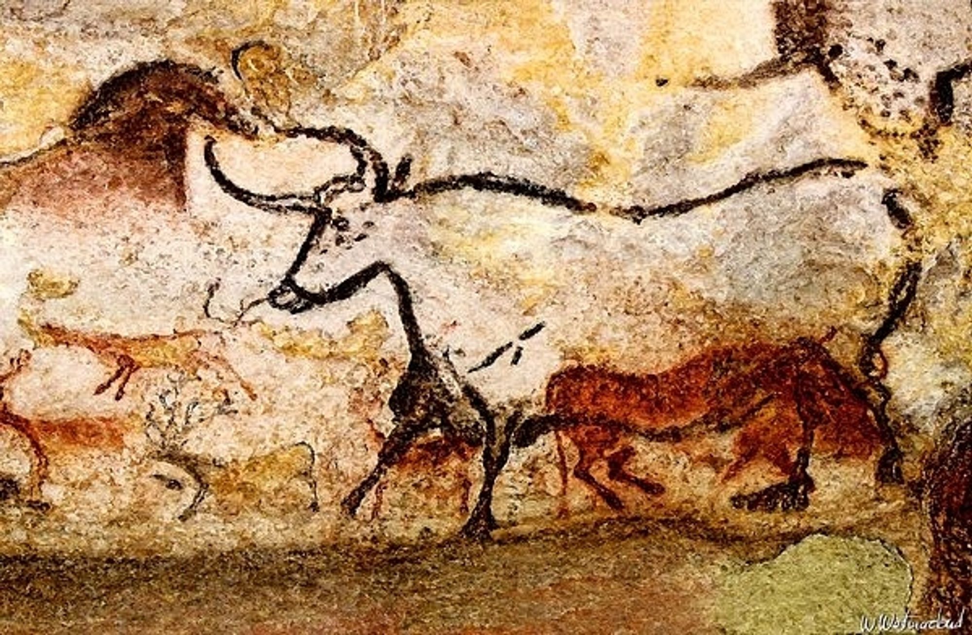 Auroch Lascaux, Fance cave paintings