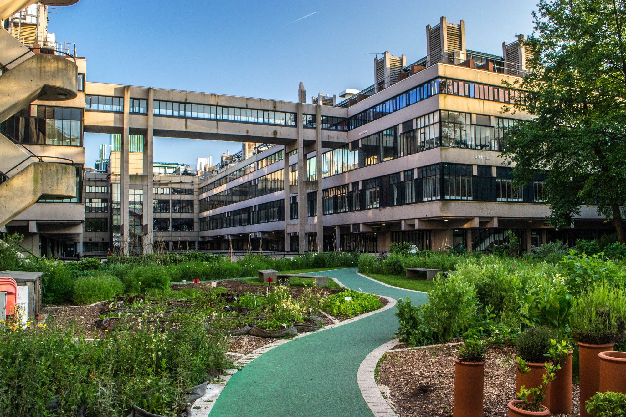 The University of Leeds Sustainability Garden