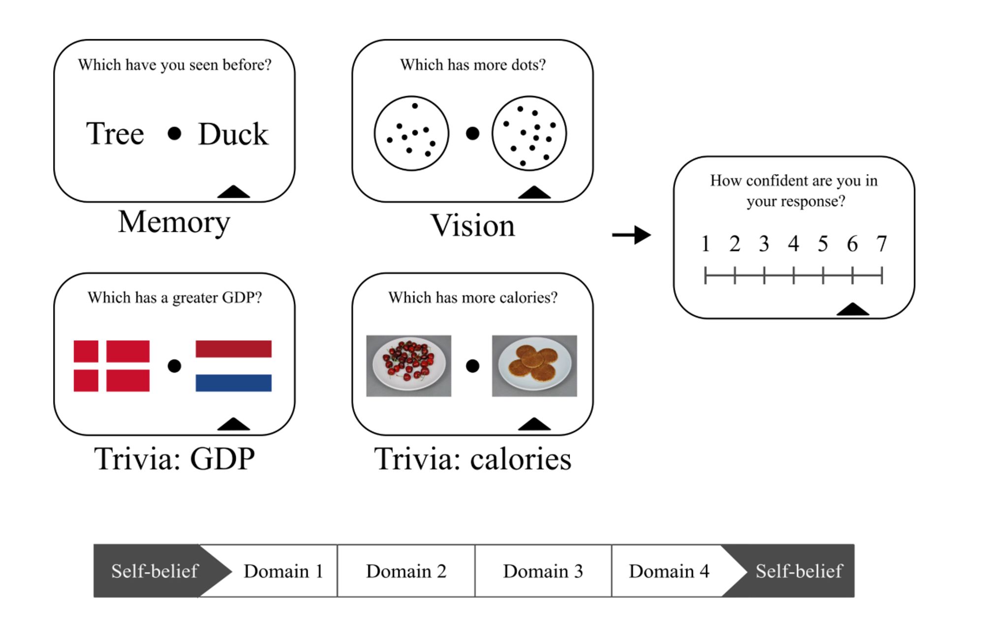 Figure 1 showing our multimodal metacognition battery. All participants completed measures of metamemory (semantic and recognition), vision (metadots), and recognition memory, together with pre and post self belief measures.