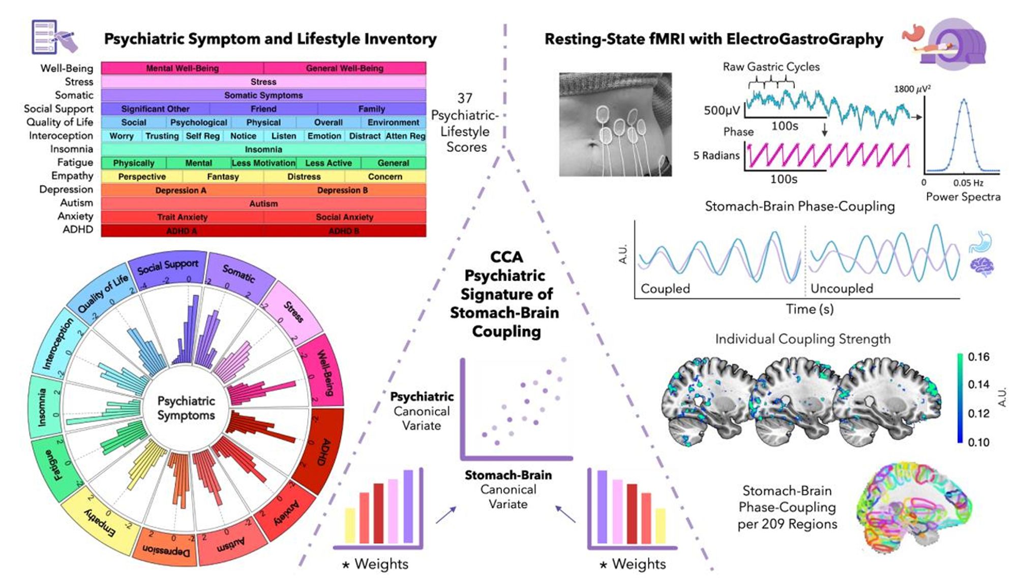 A complex figure showing an overview of our stomach-brain to psychiatric symptom fingerprinting pipeline.