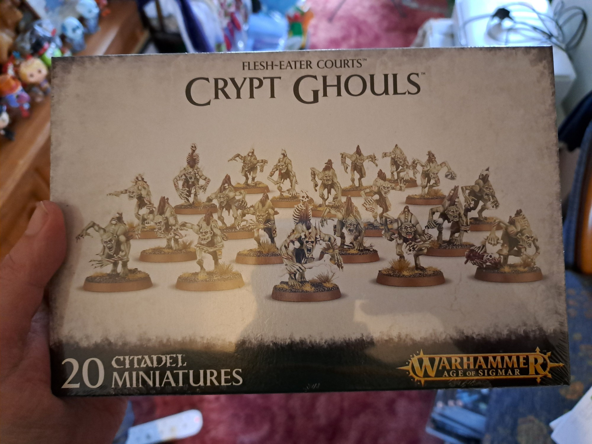 1 box of Crypt Ghouls