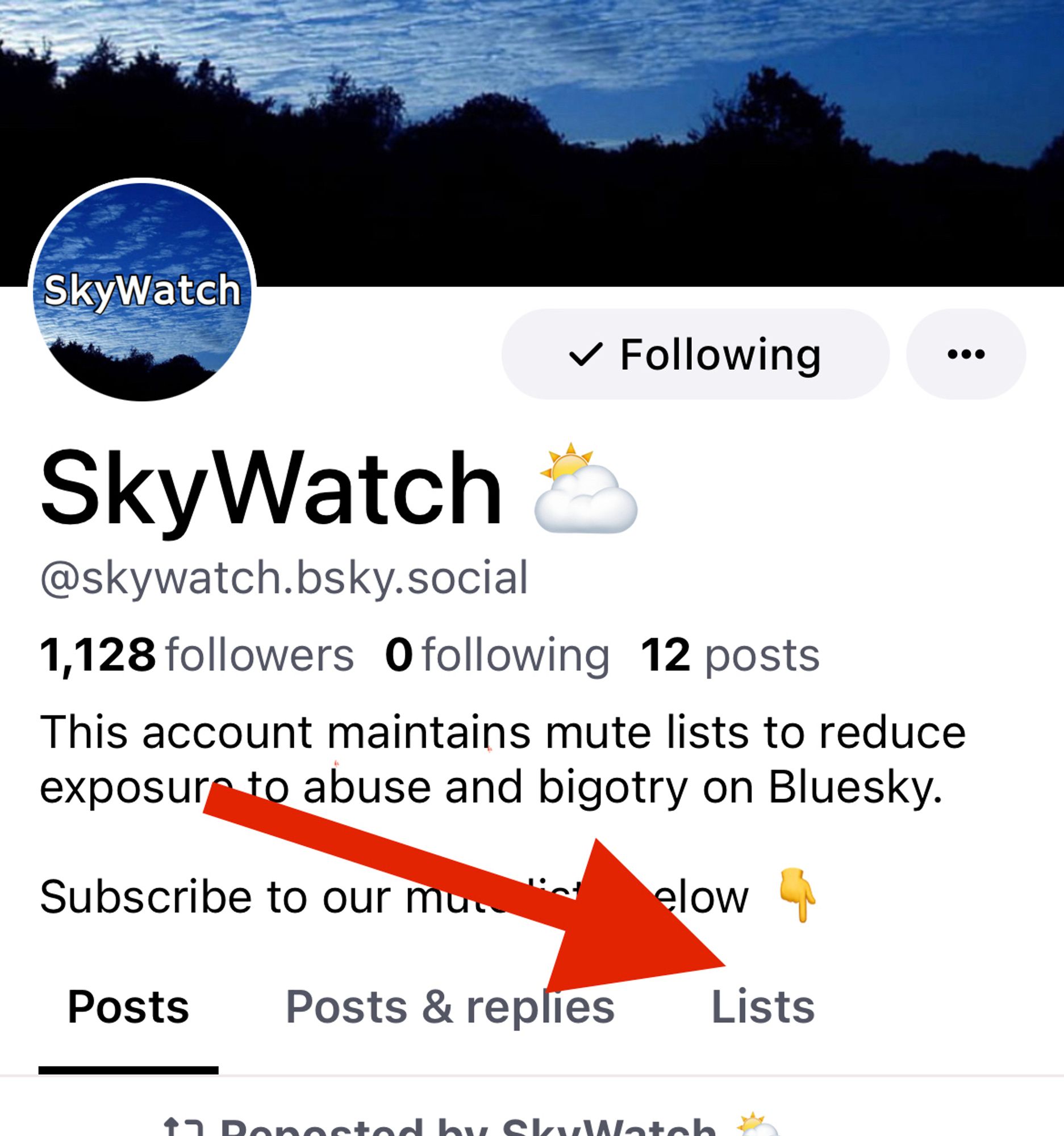 A screenshot of the Skywatch account profile with a red arrow pointing to the Lists tab