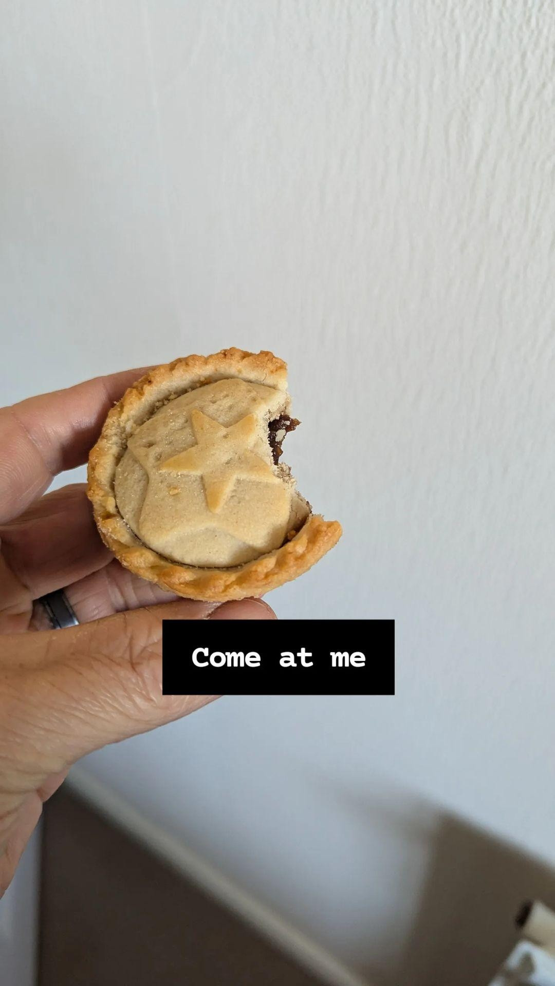 A photo of a delicious (vegan) mince pie