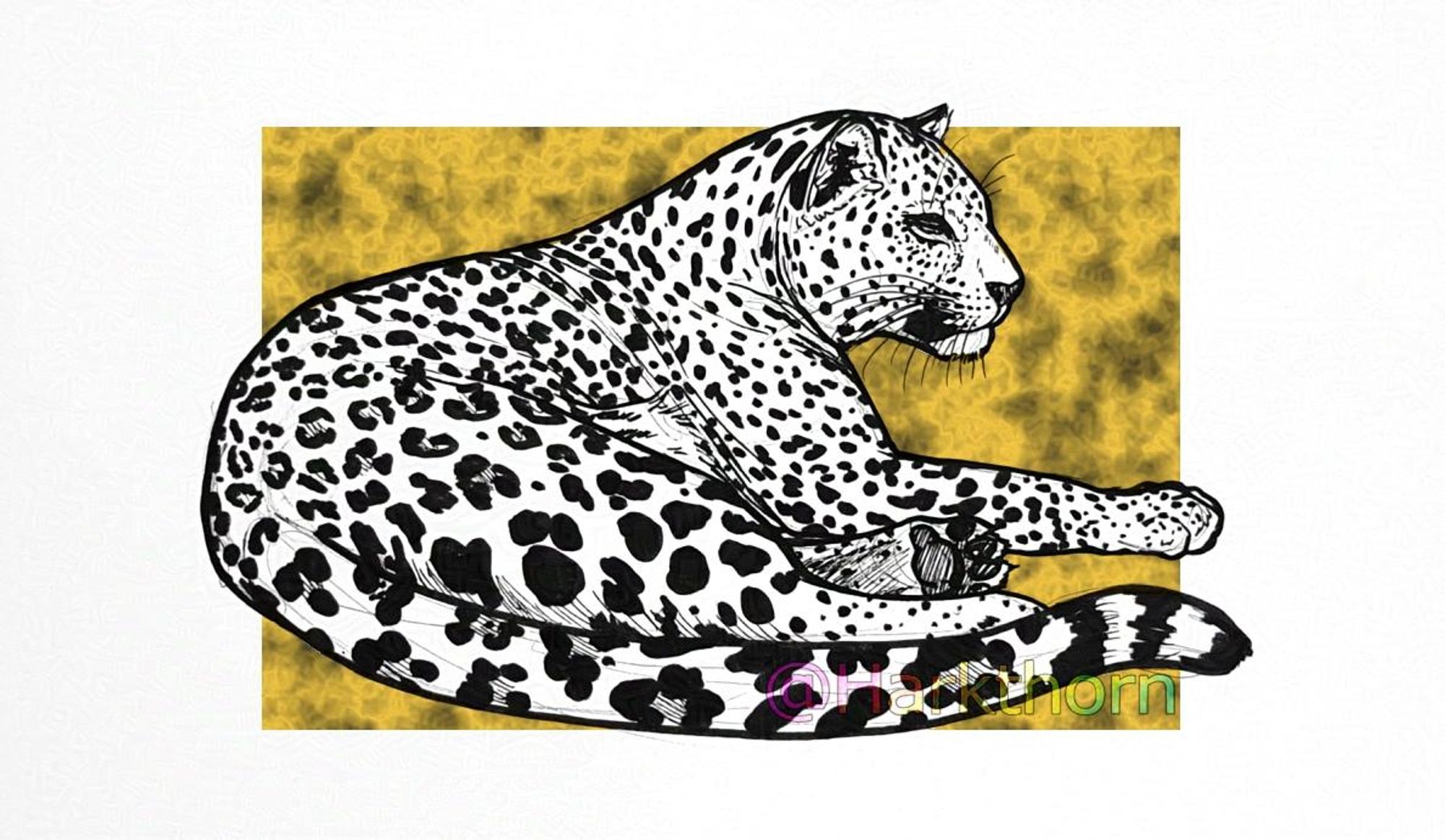 A black ink drawing of a laid down, relaxing leopard, with a garish yellow and dark grey/brown blotchy rectangle background behind it