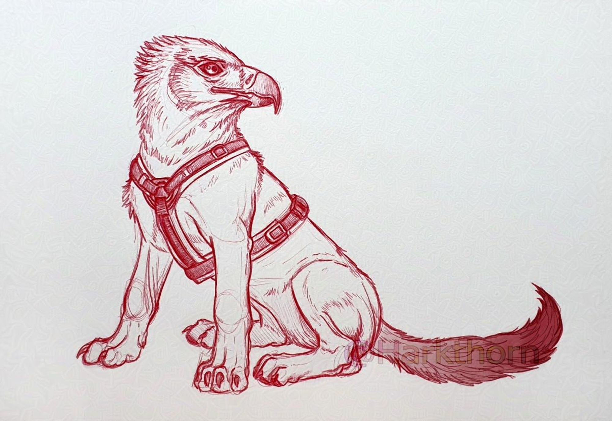 A red ballpoint sketch of a wingless griffon, sat down looking over its shoulder, wearing a harness like a dog for walkies