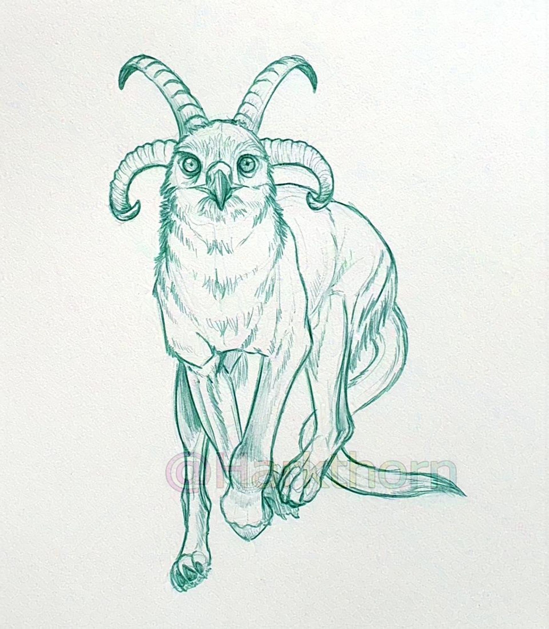 A green ballpoint sketch of a wingless griffon running towards the viewer, with two pairs of horns