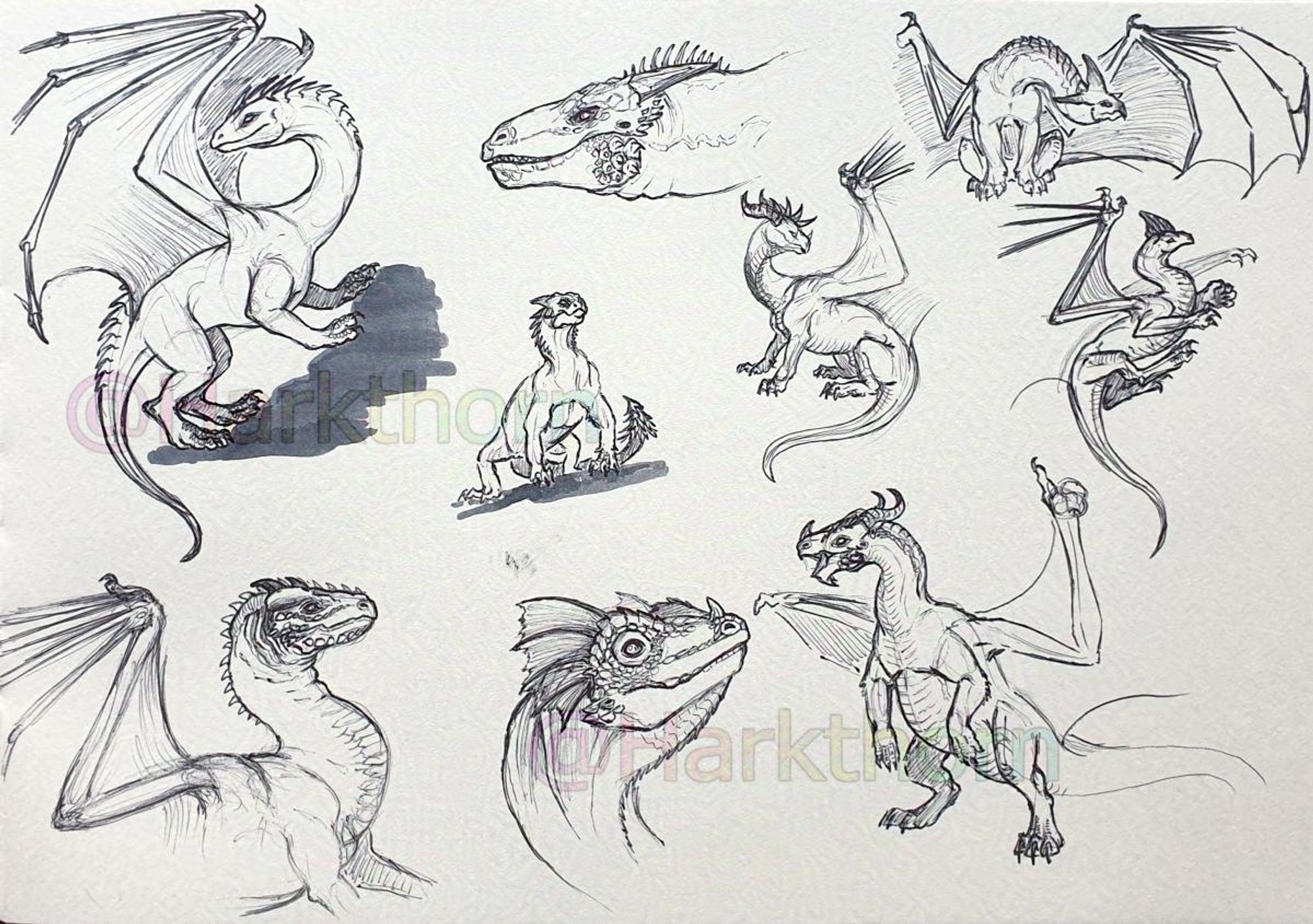 A sketchbook page filled with small drawings of dragons of all kinds, in different poses, drawn in black ballpoint pen