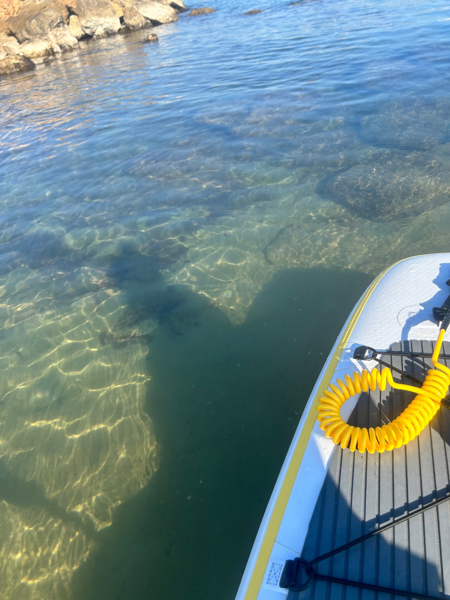 Vista del fondo de rocas del espigón desde la tabla de paddle surf