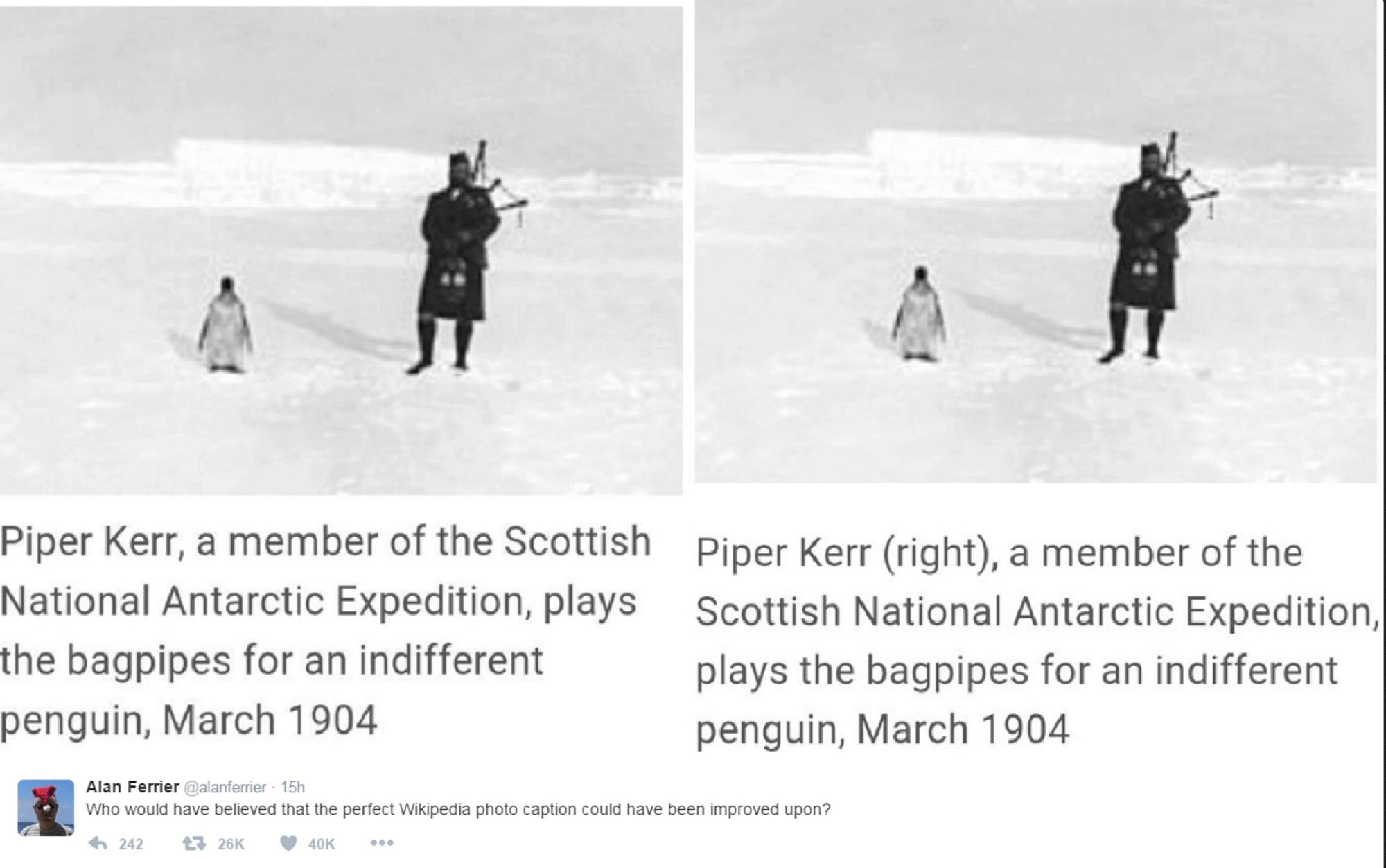 Picture shows a wikipedia edit to the text of a Scottish piper playing for a penguin. The edited entry indicates which of the two figures (penguin and piper) is the piper. Very funny unnecessary update.