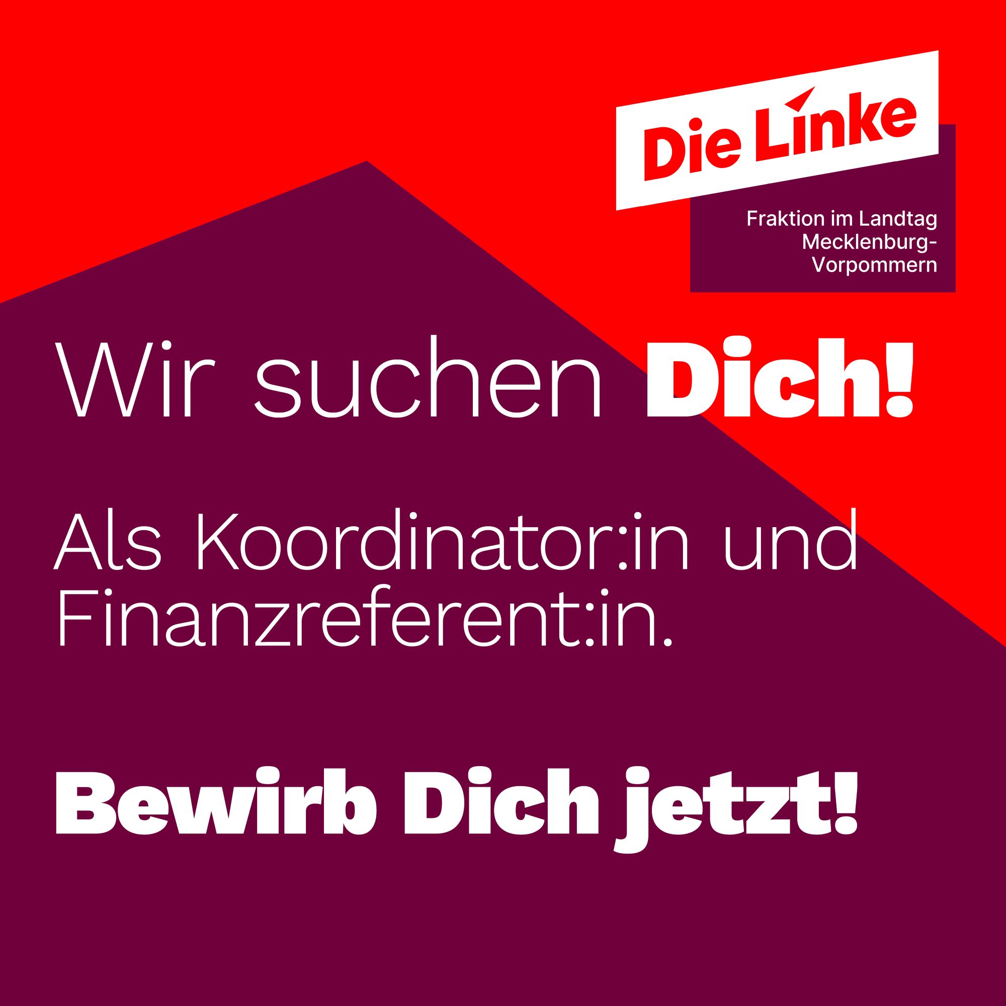 Wir suchen Dich!
Als Koordinator:in und Finanzreferent:in. 

Bewirb Dich jetzt!