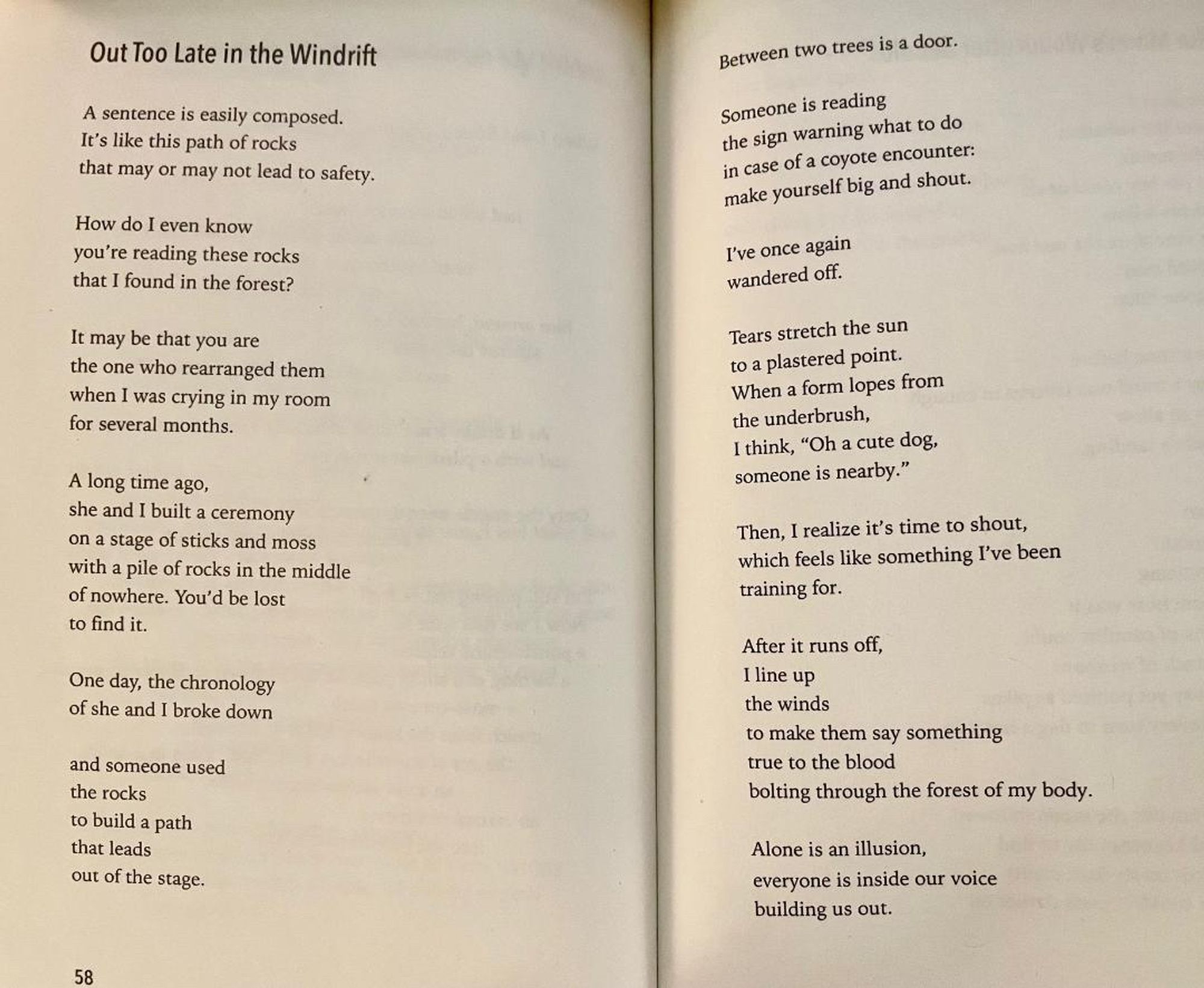 Out Too Late in the Windrift
A sentence is easily composed.
It's like this path of rocks
that may or may not lead to safety.
How do I even know you're reading these rocks that I found in the forest?
It may be that you are
the one who rearranged them when I was crying in my room for several months.
A long time ago,
she and I built a ceremony on a stage of sticks and moss with a pile of rocks in the middle of nowhere. You'd be lost to find it.
One day, the chronology of she and I broke down
and someone used the rocks
to build a path that leads
out of the stage.
58
Between two trees is a door.
Someone is reading
the sign warning what to do in case of a coyote encounter: make yourself big and shout.
I've once again wandered off.
Tears stretch the sun to a plastered point.
When a form lopes from the underbrush,
I think, "Oh a cute dog, someone is nearby."
Then, I realize it's time to shout, which feels like something I've been training for.
After it runs off, I line up the winds
to make the