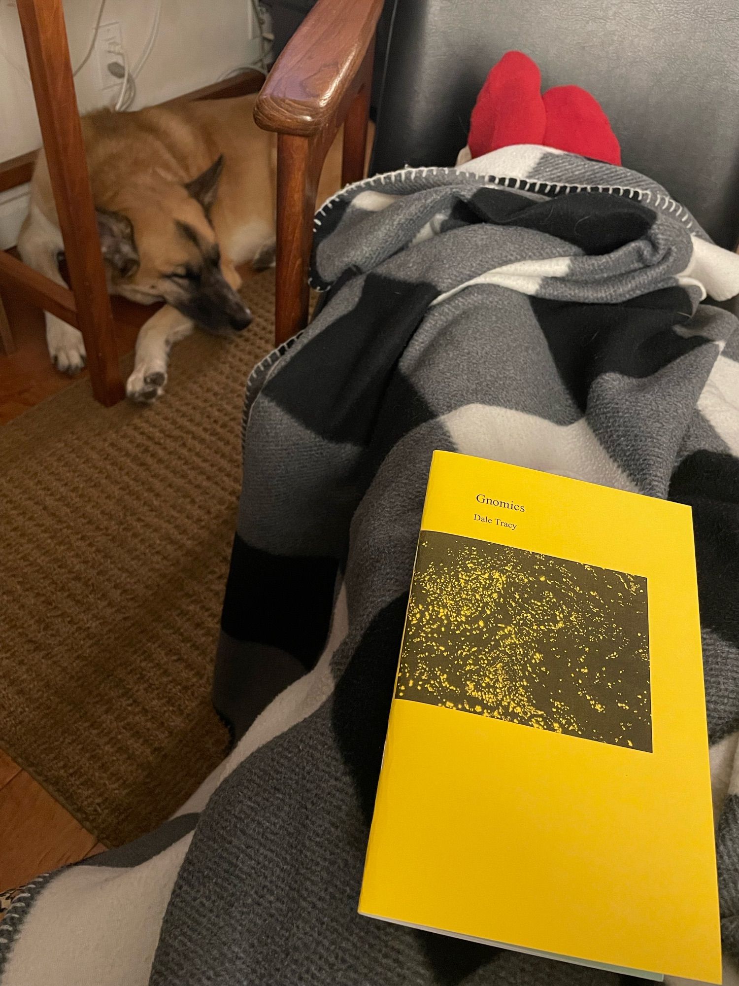 Picture of yellow-covered chapbook with black, square image of whorling pattern. Book is resting on blanketed legs with dog sleeping under desk in background.