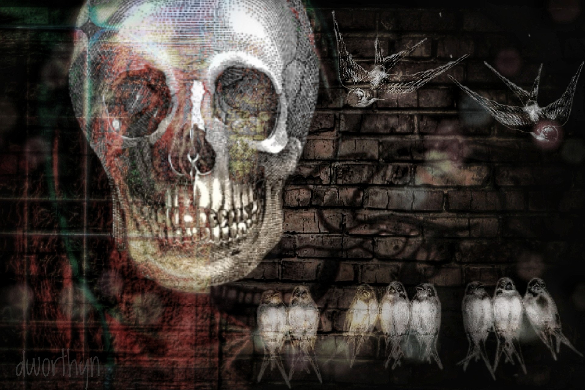 Skeleton face on left with dark background brick wall. On right top two flying birds ,a long bottom right a grouping of birds in a line. Mostly gray and black with some red/orange and blue accents.