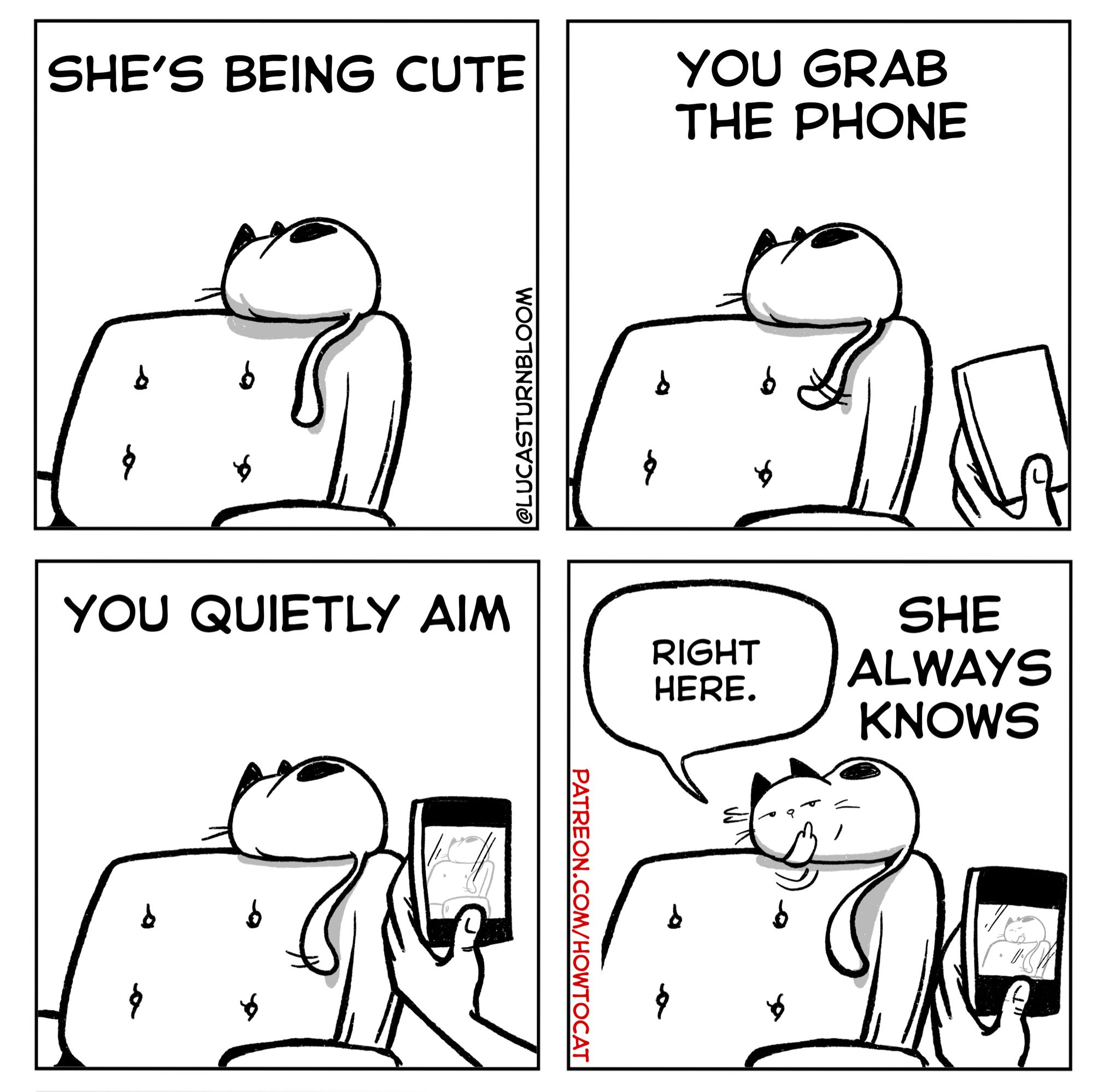 PANEL 1: She’s being cute.
PANEL 2: You grab your phone.
PANEL 3: You quietly aim.
PANEL 4: Cat turns and says, “right here.” She always knows.