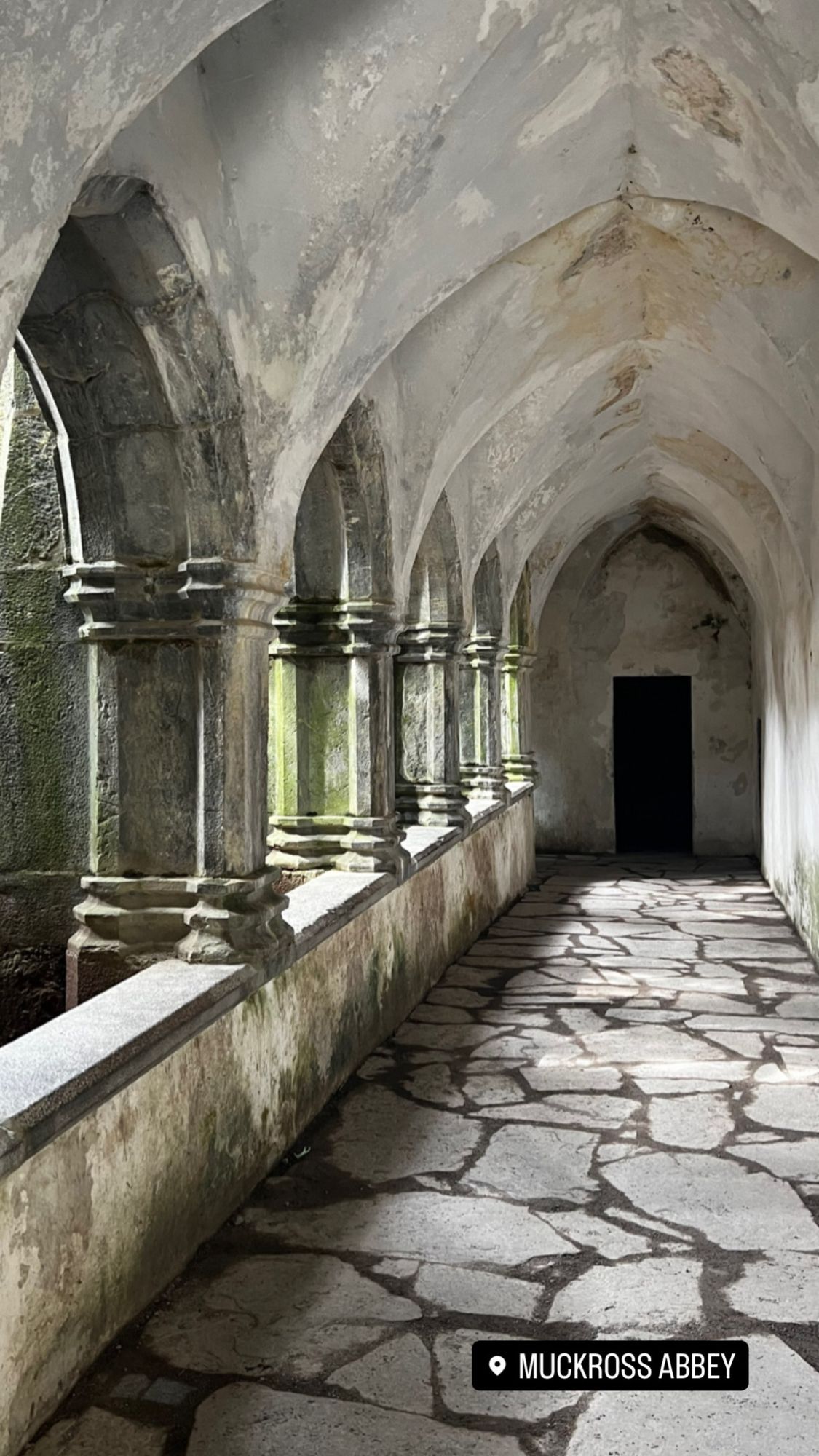 Muckross Abbey