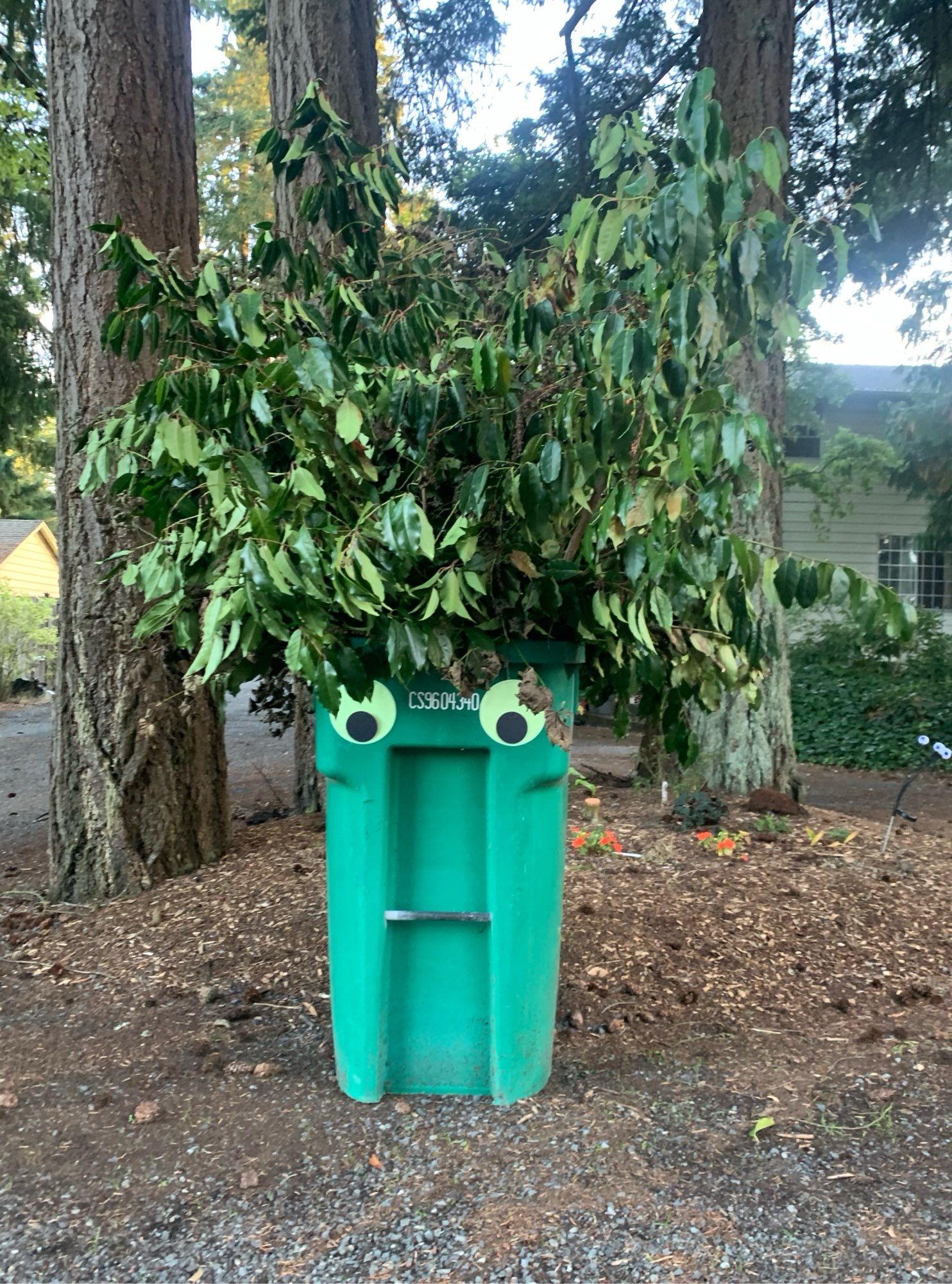 Green, overstuffed yard waste bin with giant googly eyes