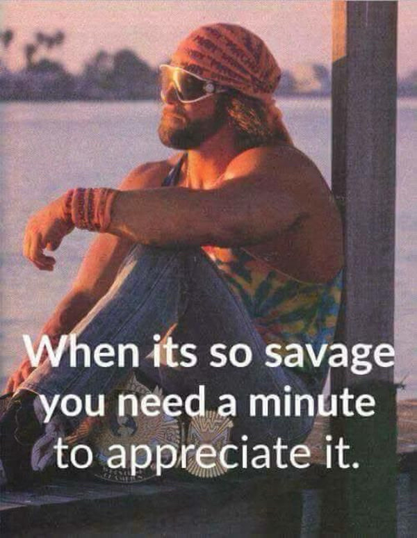 Meme with Randy Savage sitting quietly: "When it's so savage you need a minute to appreciate it"