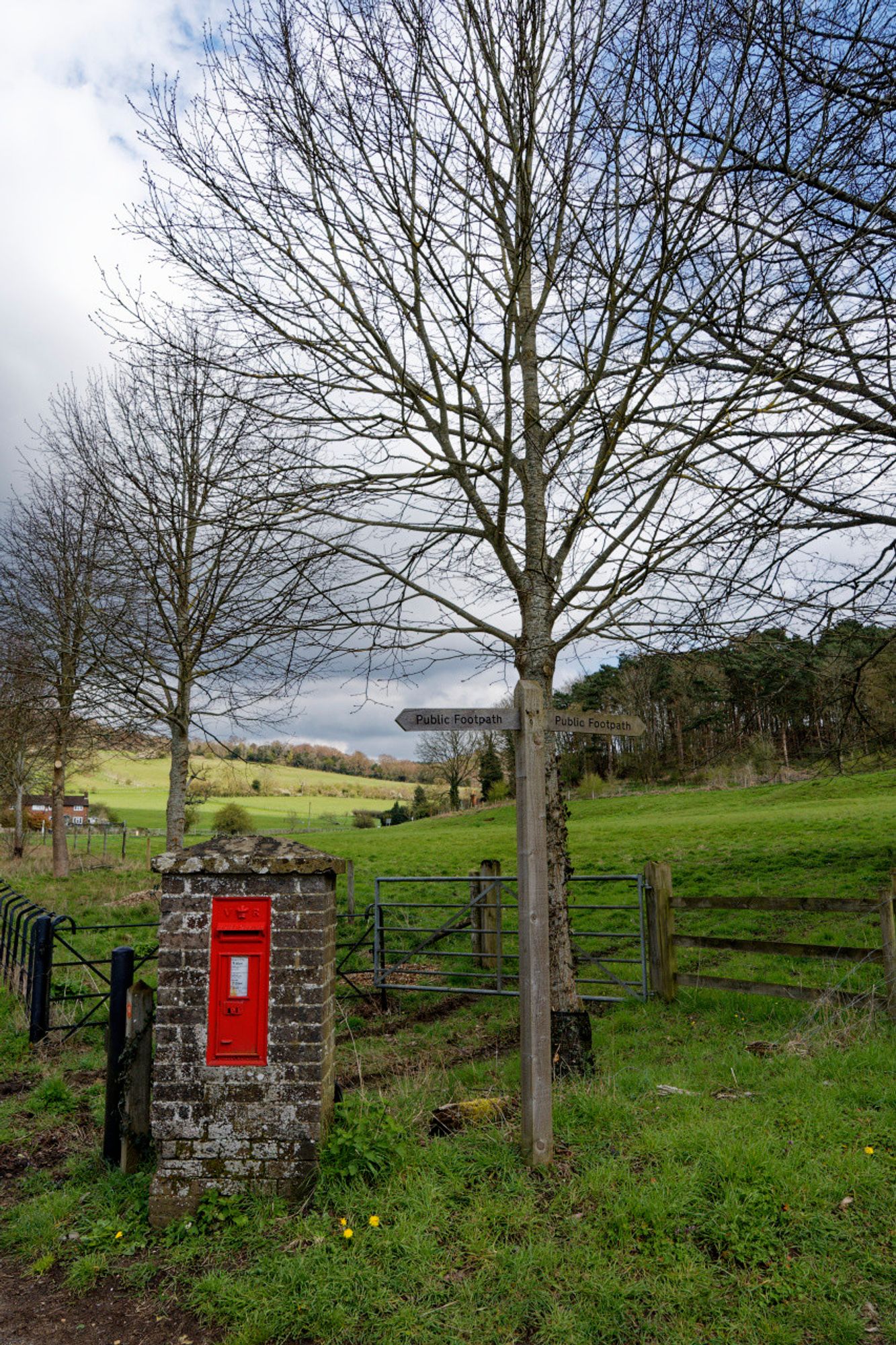 A red postbox, embedded at the end of a brick pillar. There is a tree right next to it. A fence behind it separates it from a field. There are more trees in the background