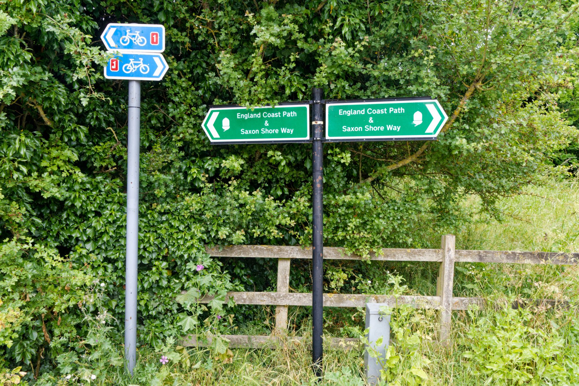 Two green arrows sit atop a post, in front of a wooden fence. They point each way to Saxon Shore and England Coast Path. On the left of this is a metal pole with two blue cycling arrows.