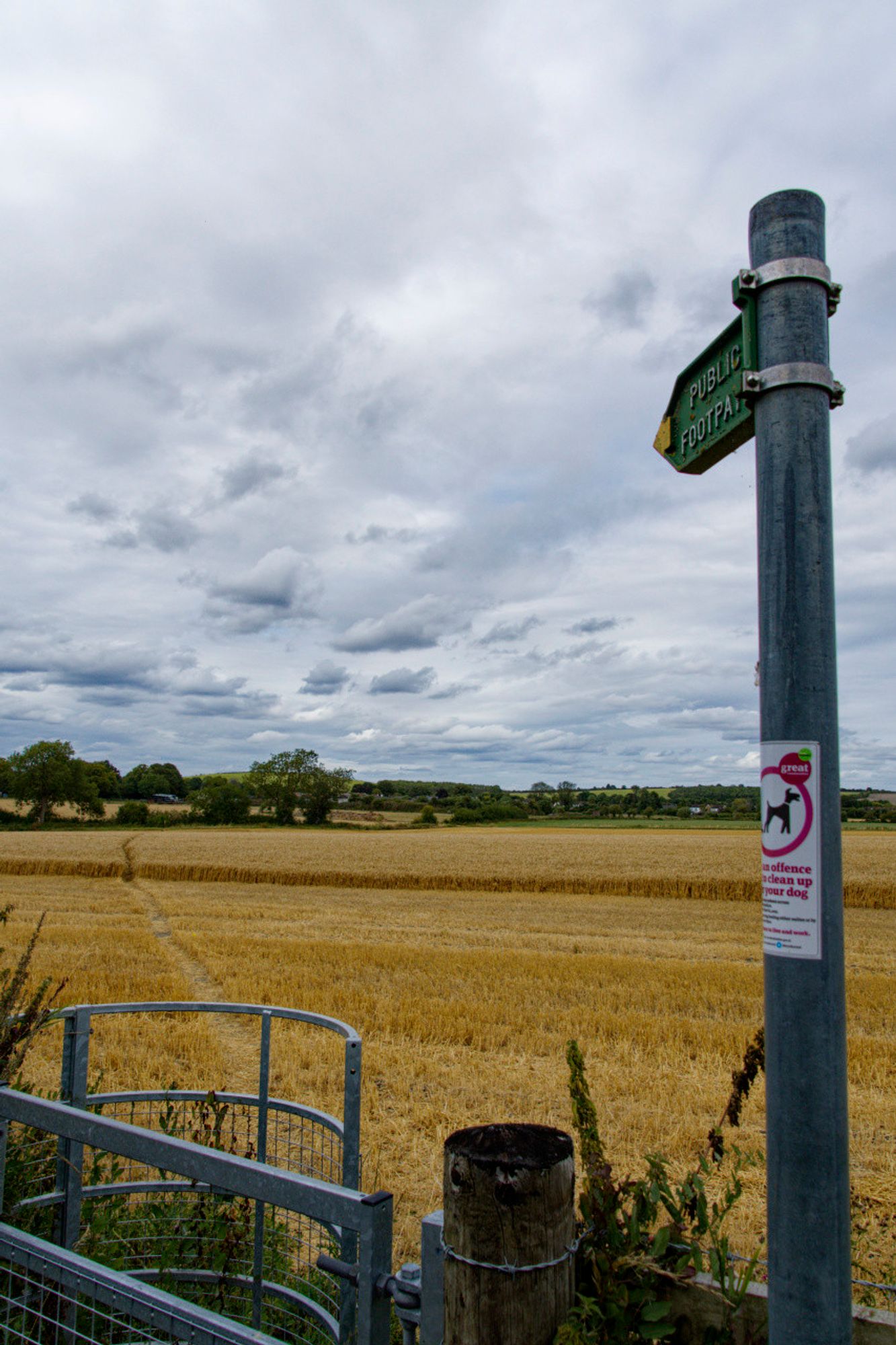 A metal pole has a green pointer, with a yellow arrow and Public Footpath written on it. It points across a field of yellow crop. Clouds in the sky, and trees in the distance.