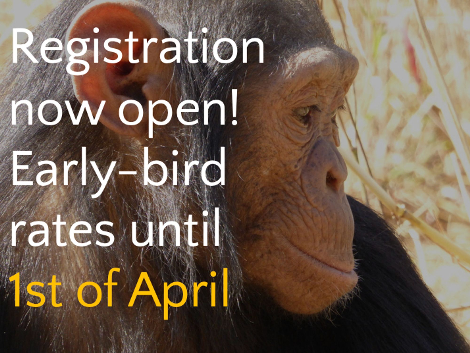 Photo of a chimpanzee is the background image. Text reads "Registration open. Early-bird rates until 1st of April".