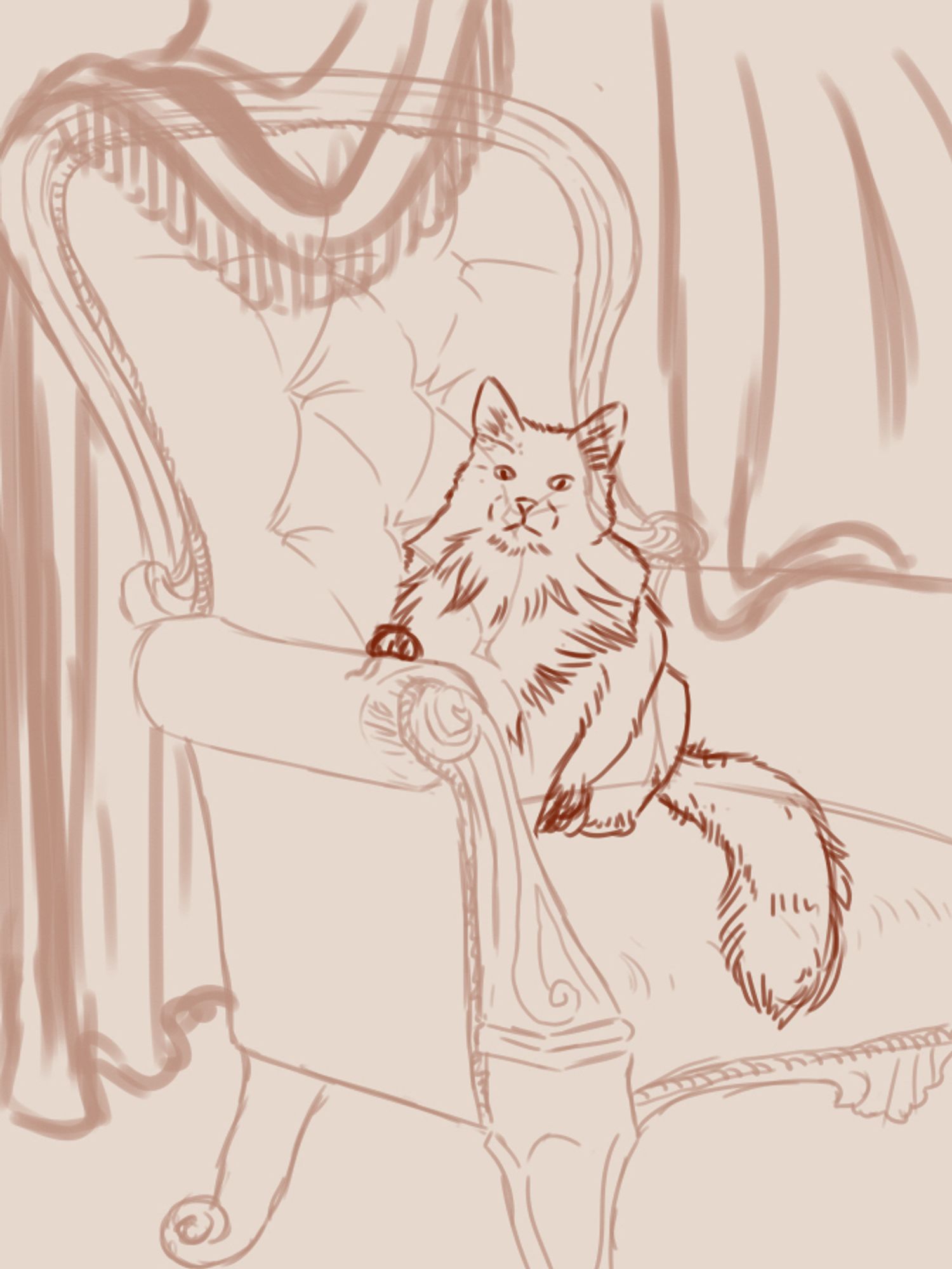 Sketch of a cat sitting on a fancy victorian arm chair.  Curtains are draped over the chair and the cat looks towards the viewer.  This is the beginning of a large commissioned pet portrait.