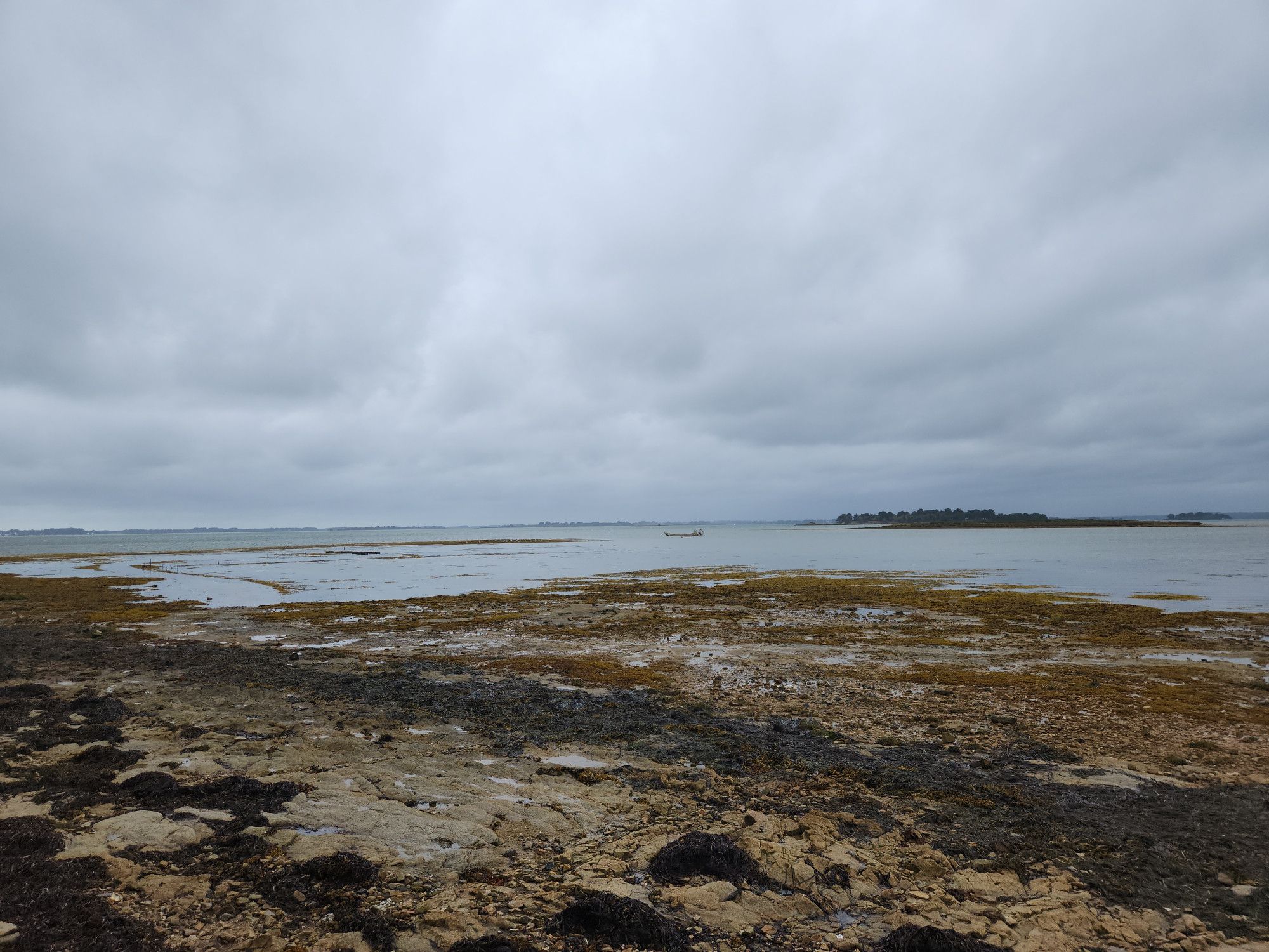 A windswept ocean under grey skies with different shades of brown and red and black rocks