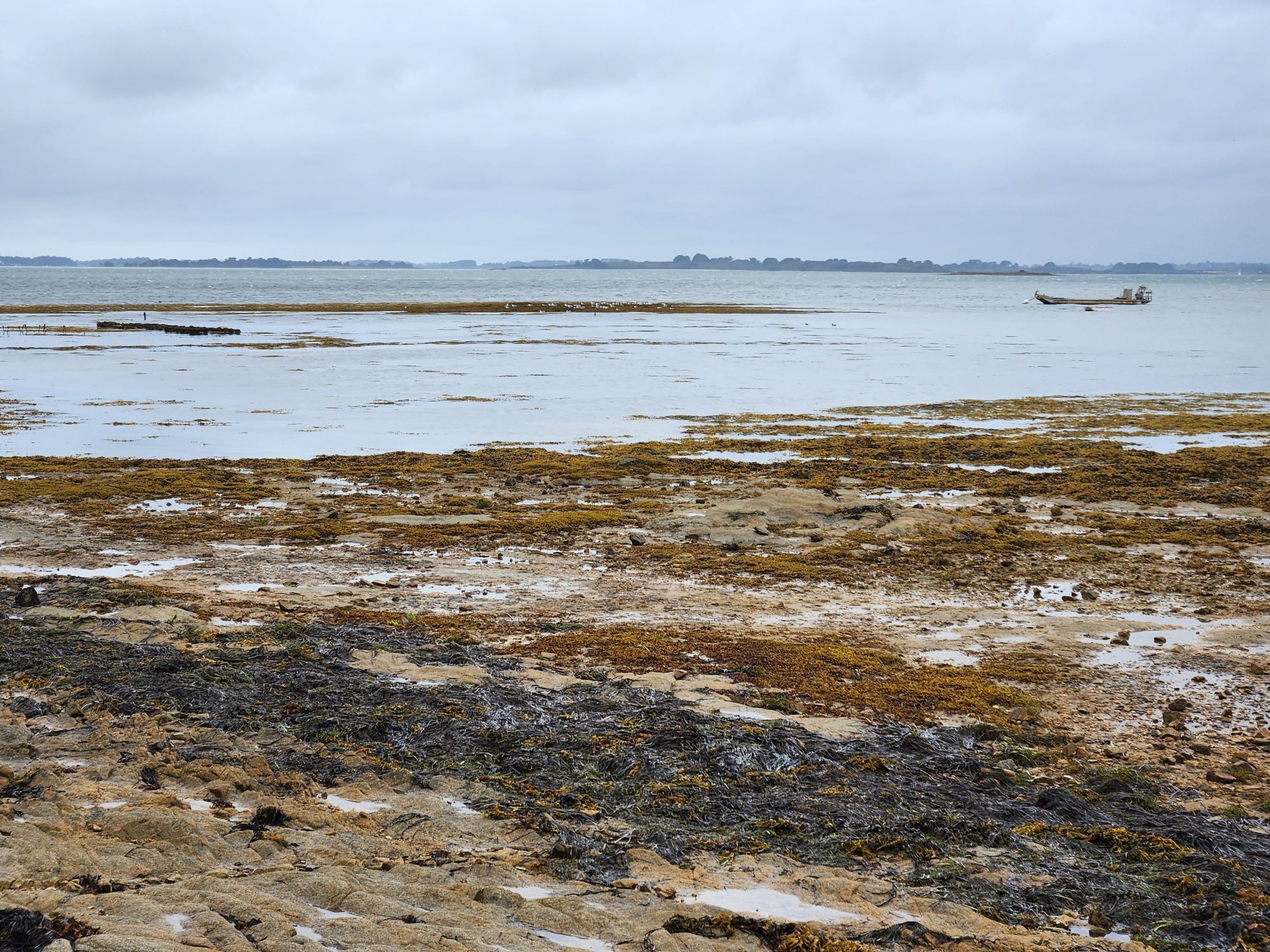 A windswept ocean under grey skies with different shades of brown and red and black rocks