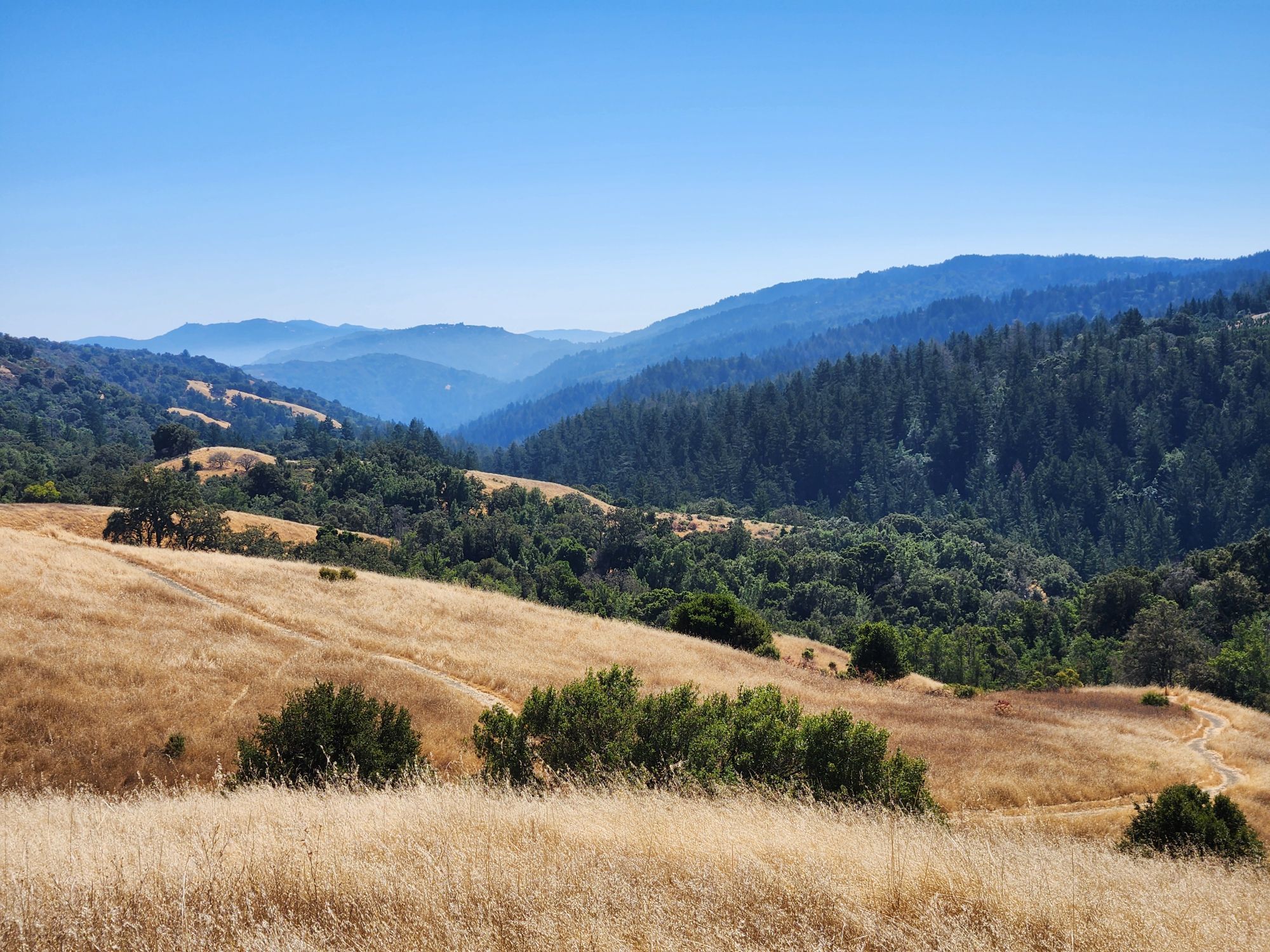 Photo of dry grassy meadows in front of distant green mountains which fade to blue in the distance