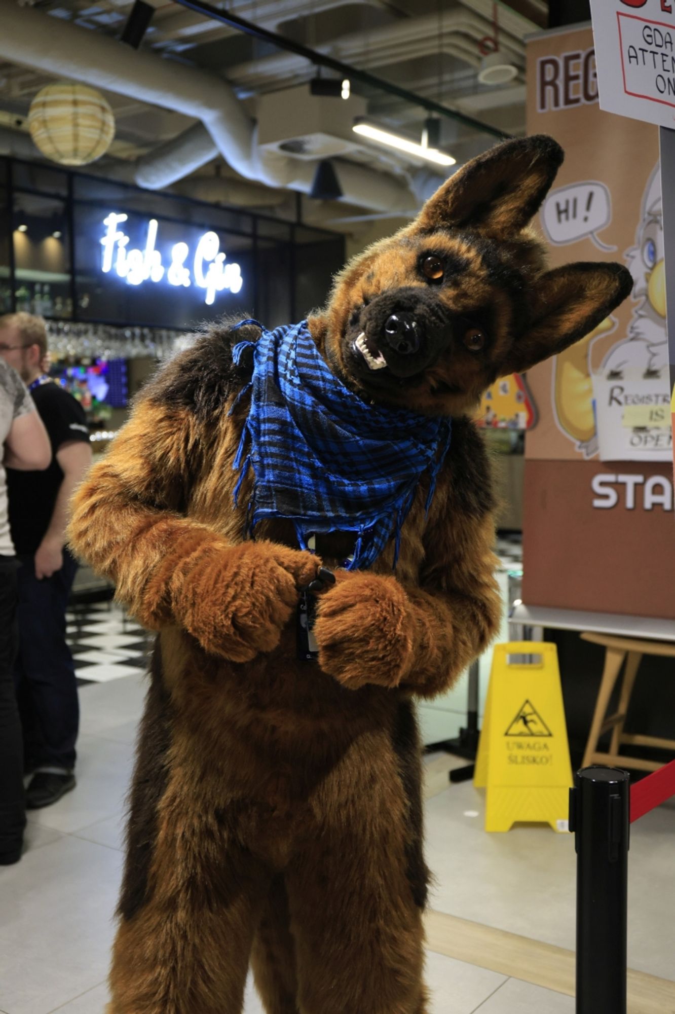 A realistic German shepherd fursuiter posing for a picture, tilting his head to side and acting curious