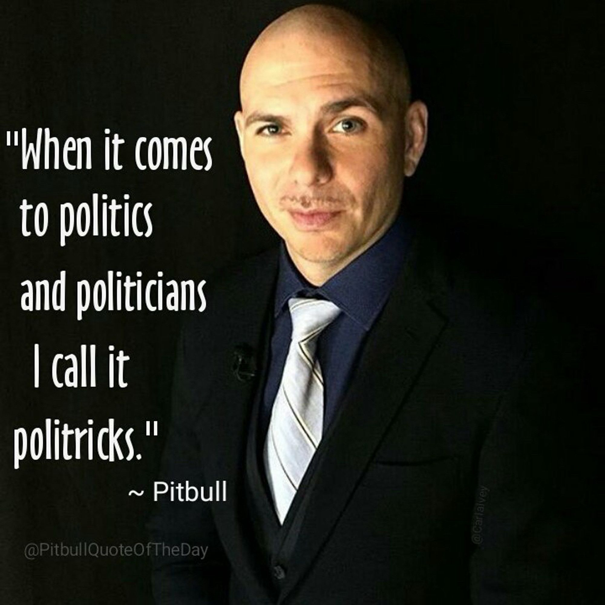 "When it comes to politics and politicians I call it politicks." ~ Pitbull