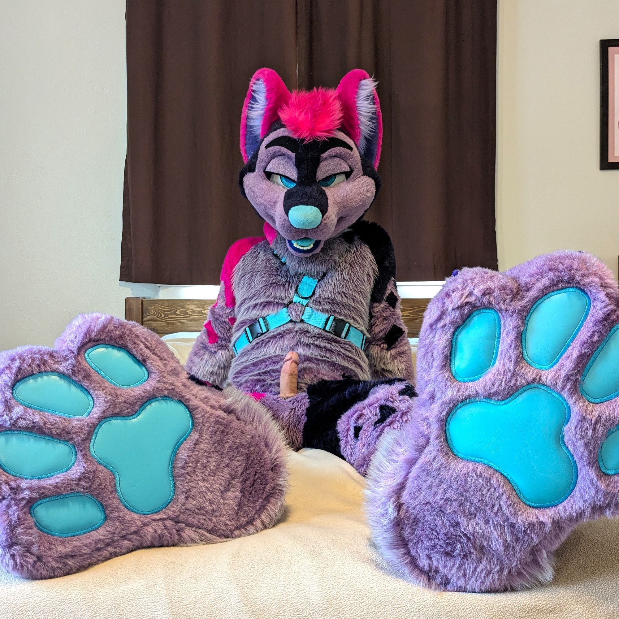 Purple dog fursuit with his paws near the camera, and his dick's also out