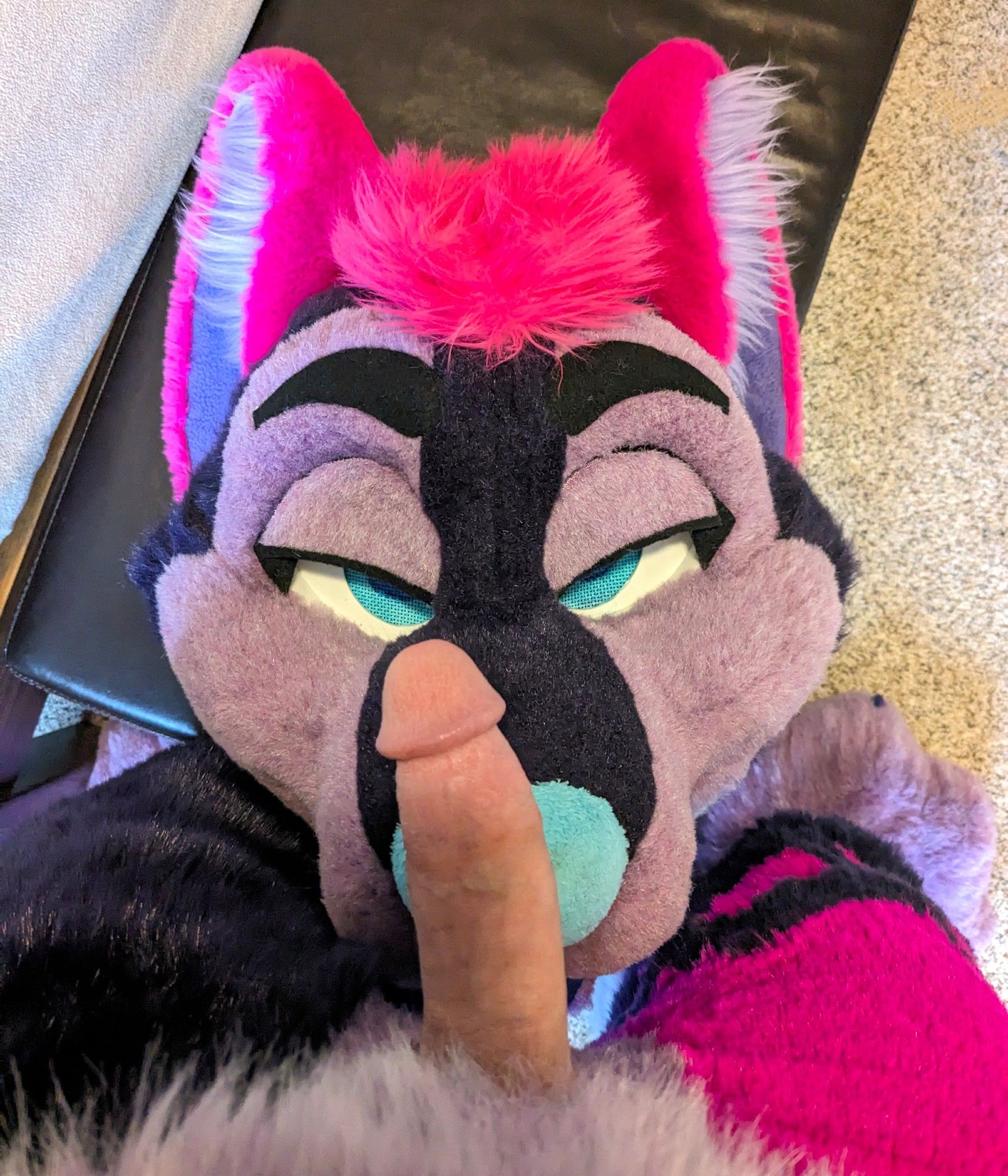 Husky fursuit head with a dick laid out across the nose