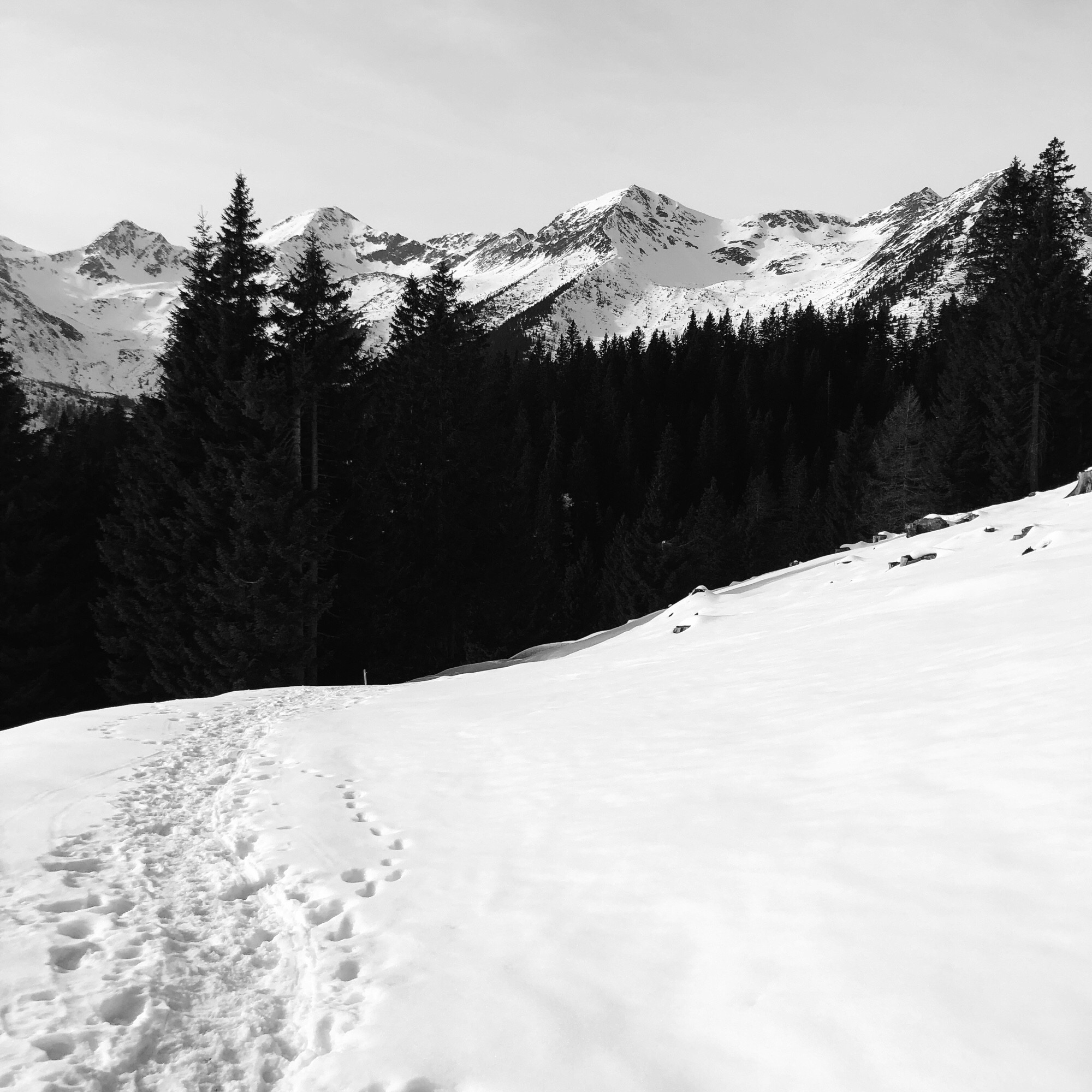 Tracce nella neve e le cime innevate delle montagne in lontananza