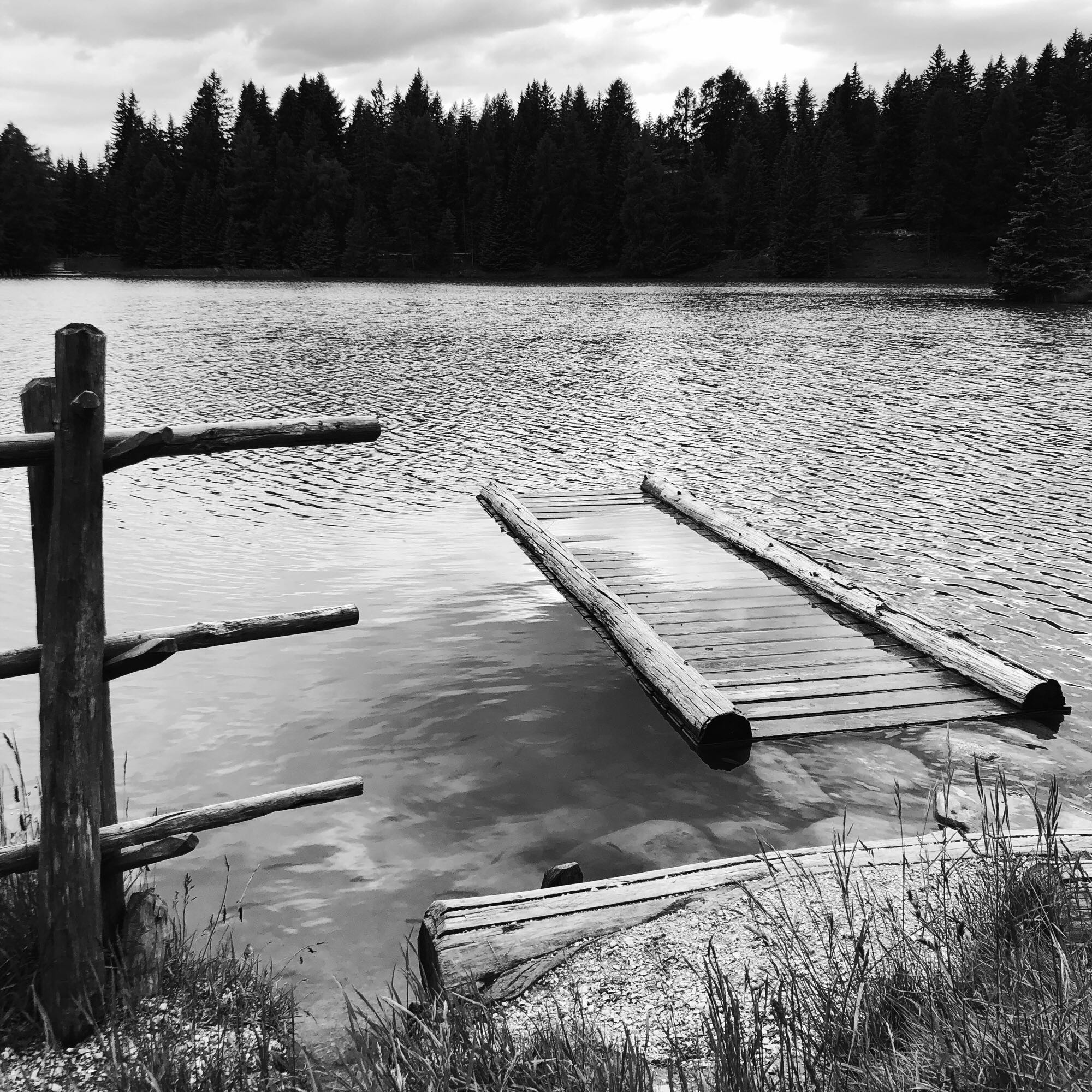 Uno steccato ed una piattaforma sull'acqua del lago montano circondato da alti alberi